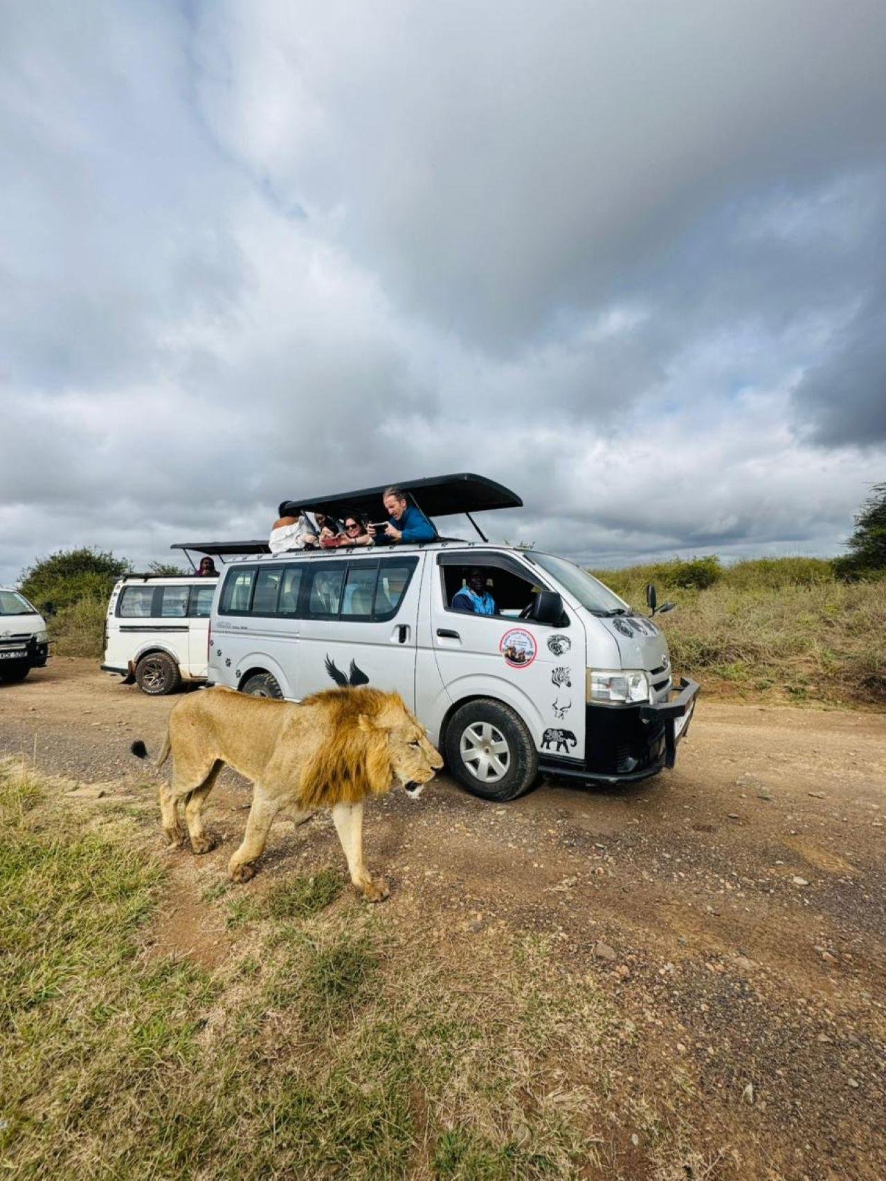 Nairobi Safari: National Park, Elephant Orphanage & Giraffe Center