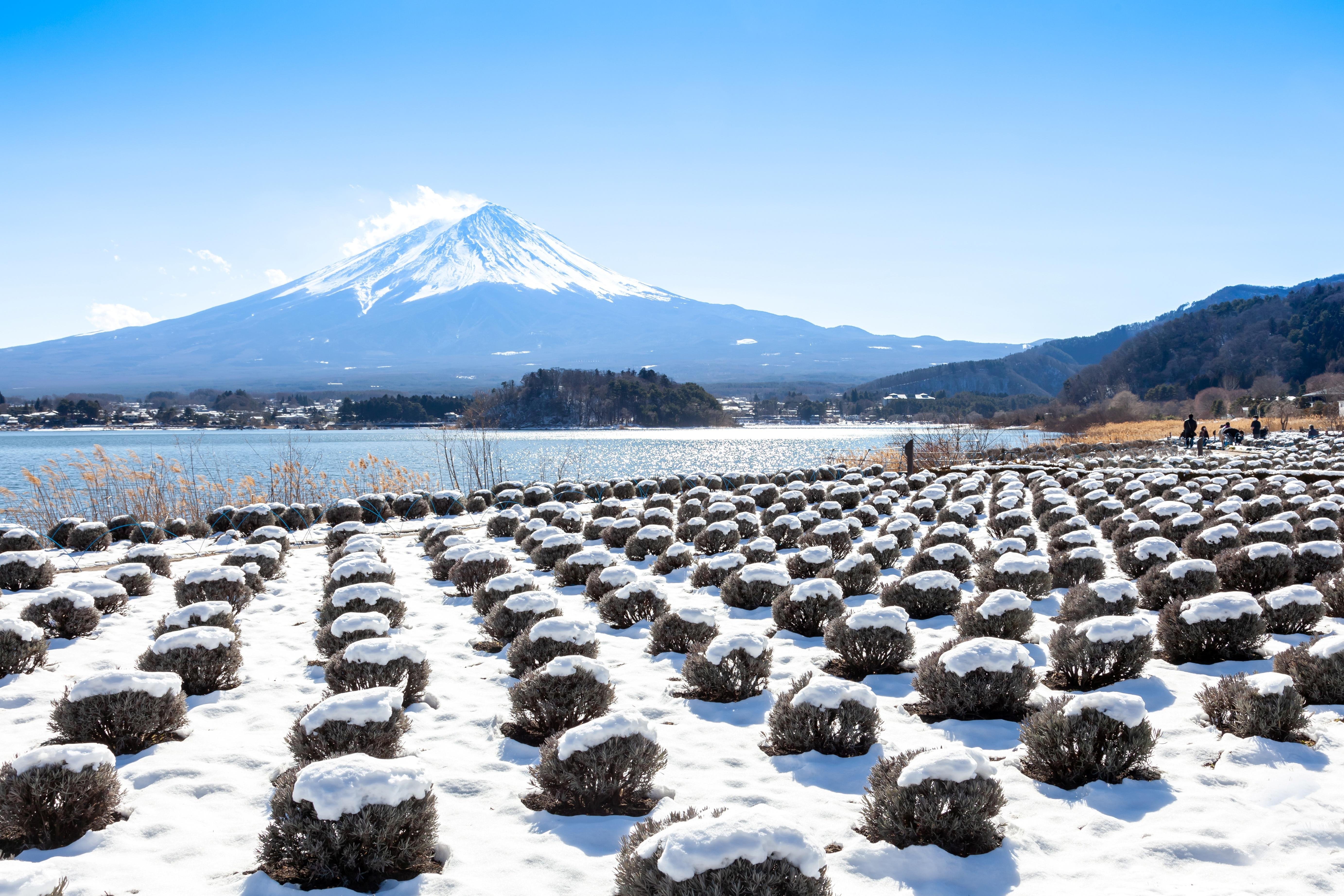 Mount Fuji Full-Day Tour from Tokyo: Two Routes, One Iconic Mountain