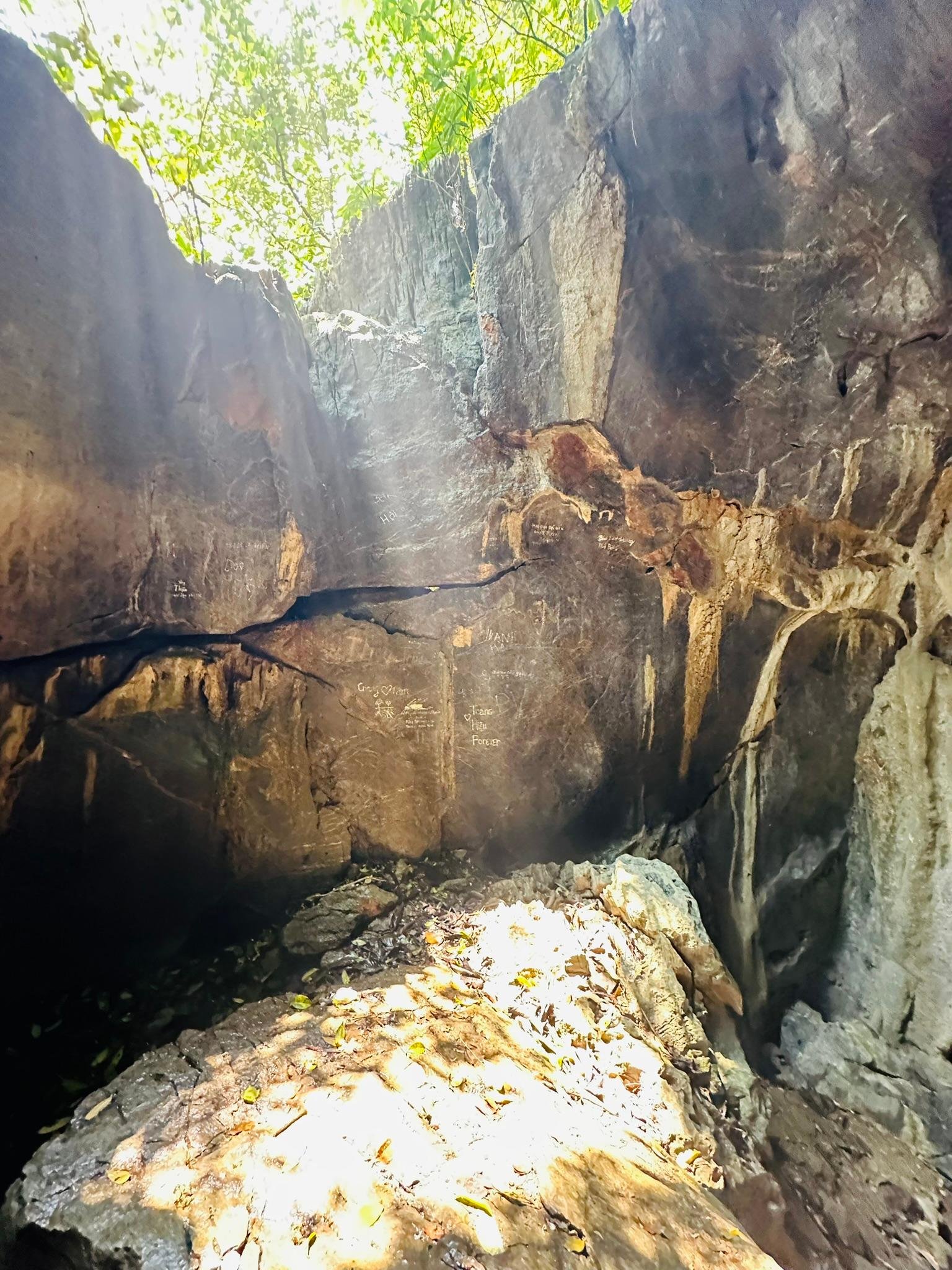 Cuc Phuong National Park Day Trek & Bear Sanctuary from Ninh Binh
