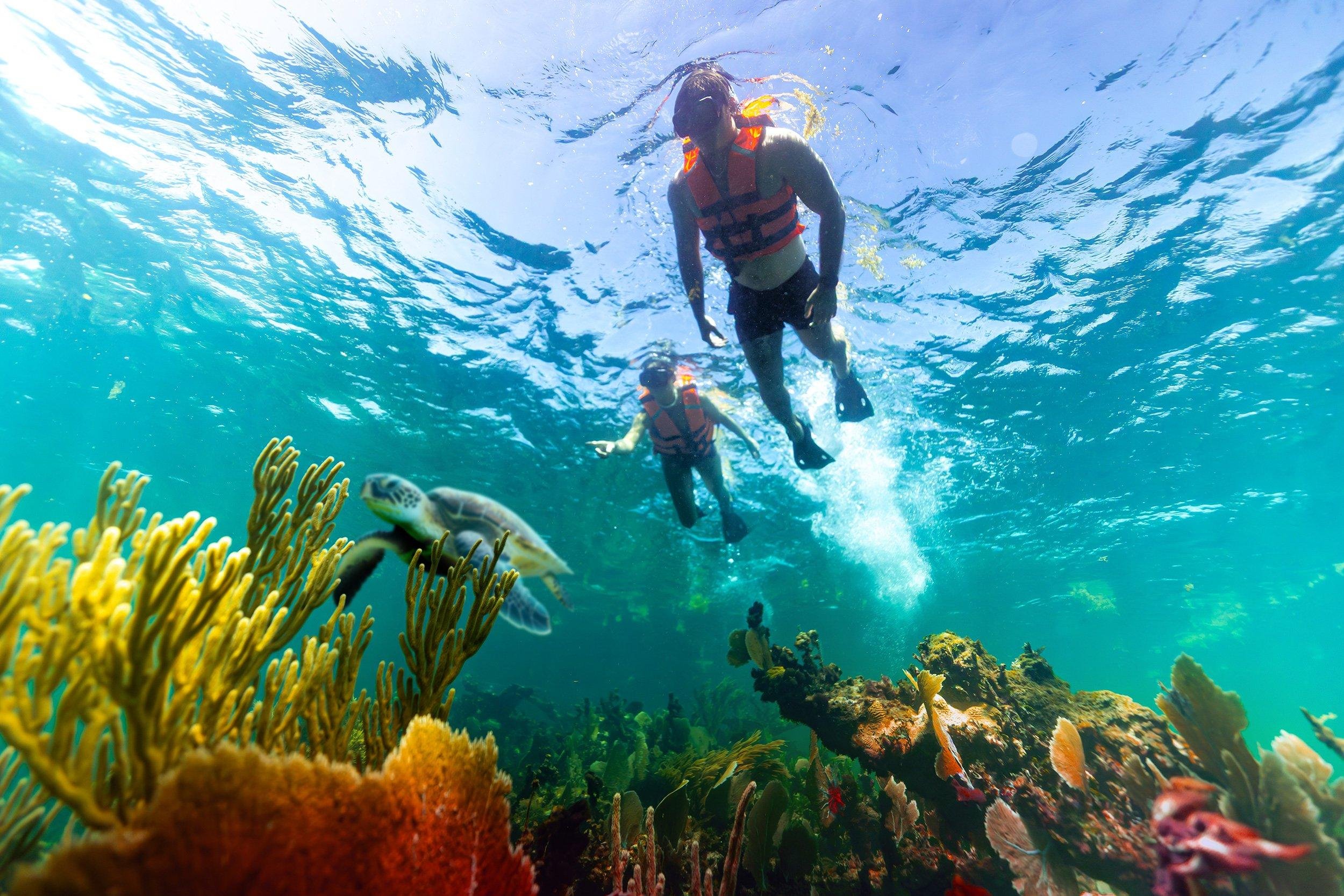 Puerto Morelos Private Reef Snorkeling Tour with Hotel Pickup