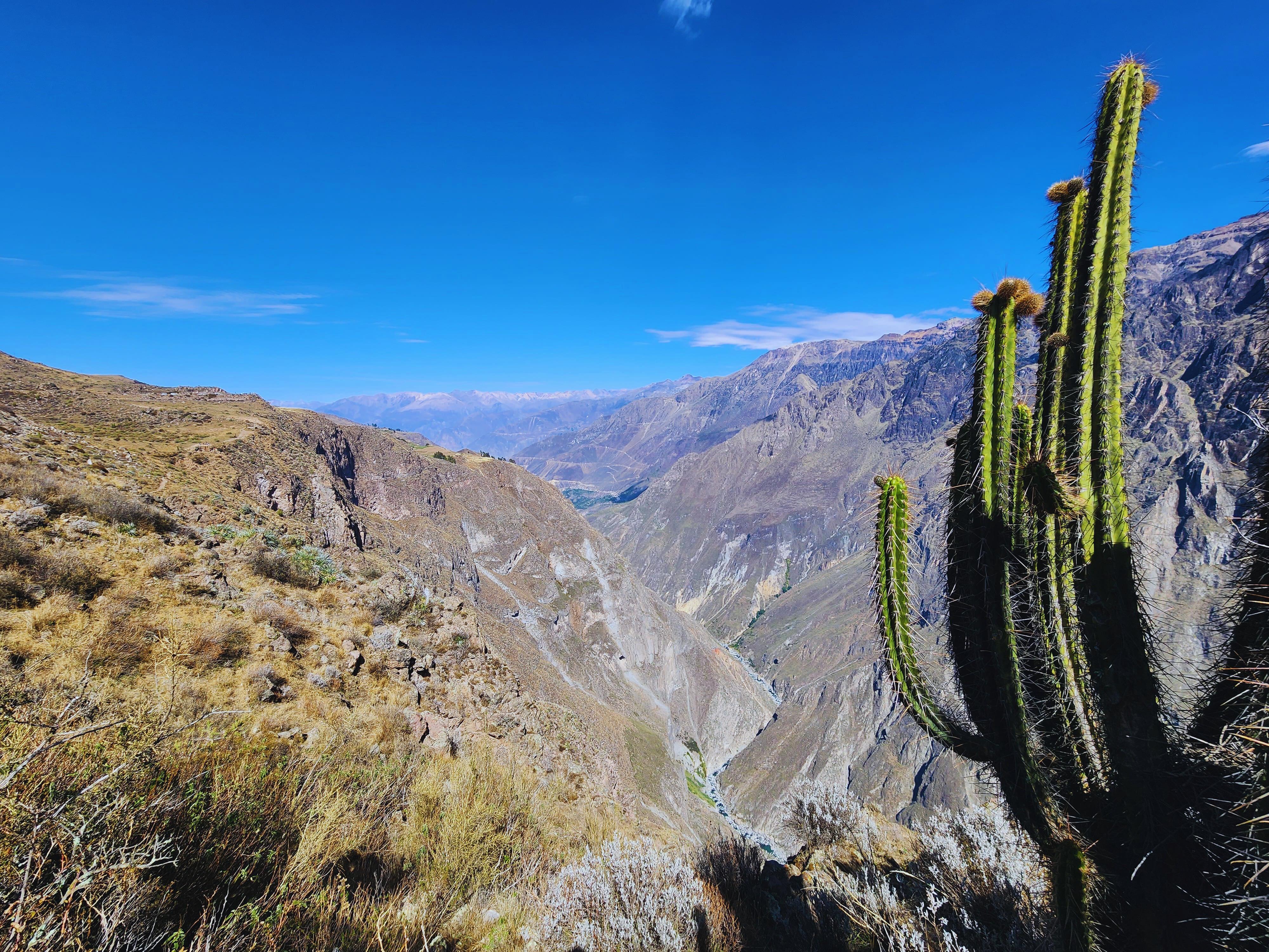 Colca Canyon & Lake Titicaca 2-Day Adventure