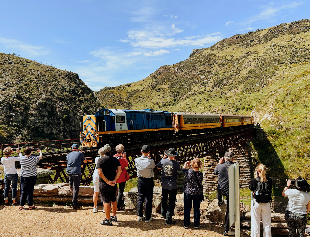 South Island guided tour photo — image 13