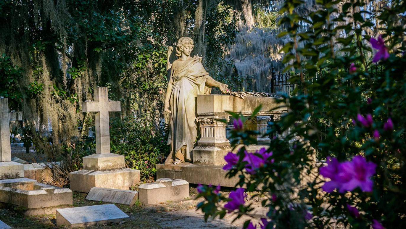 Savannah Georgia — tour experience image 4