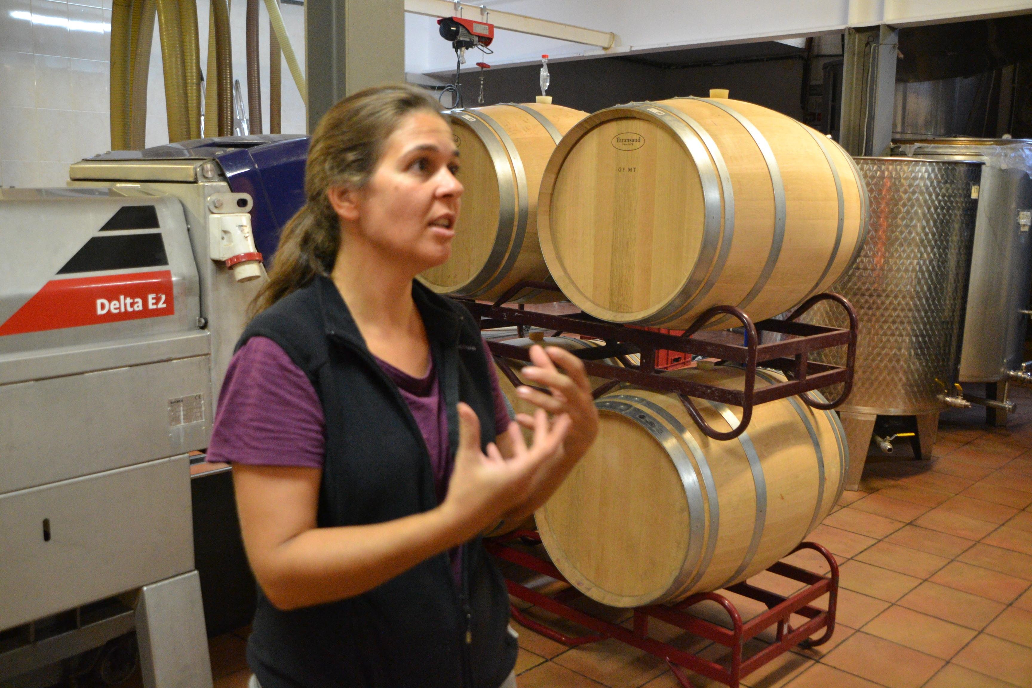 wine tour in Priorat — photo 5