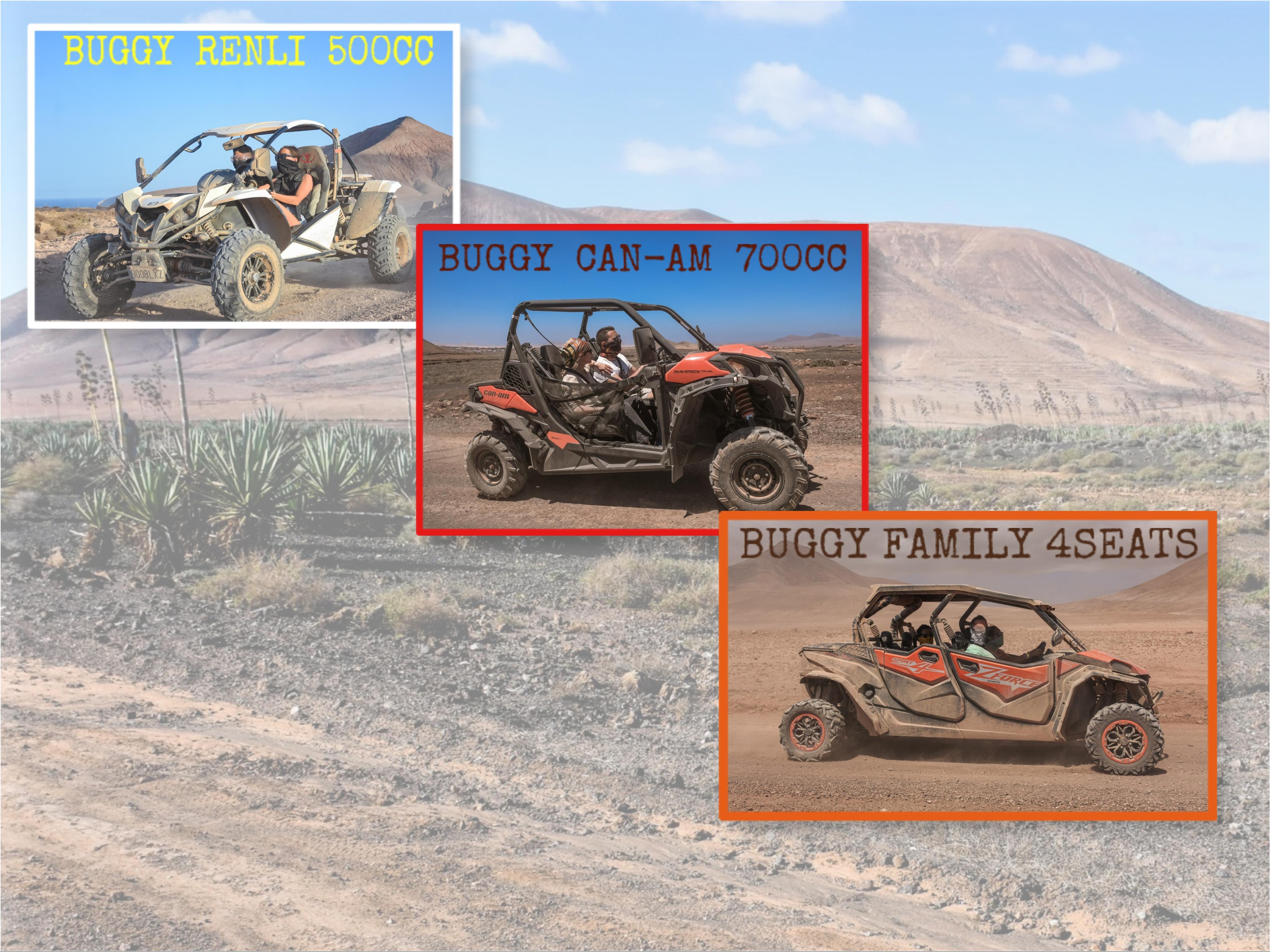 Northern Fuerteventura Off-Road Buggy Adventure