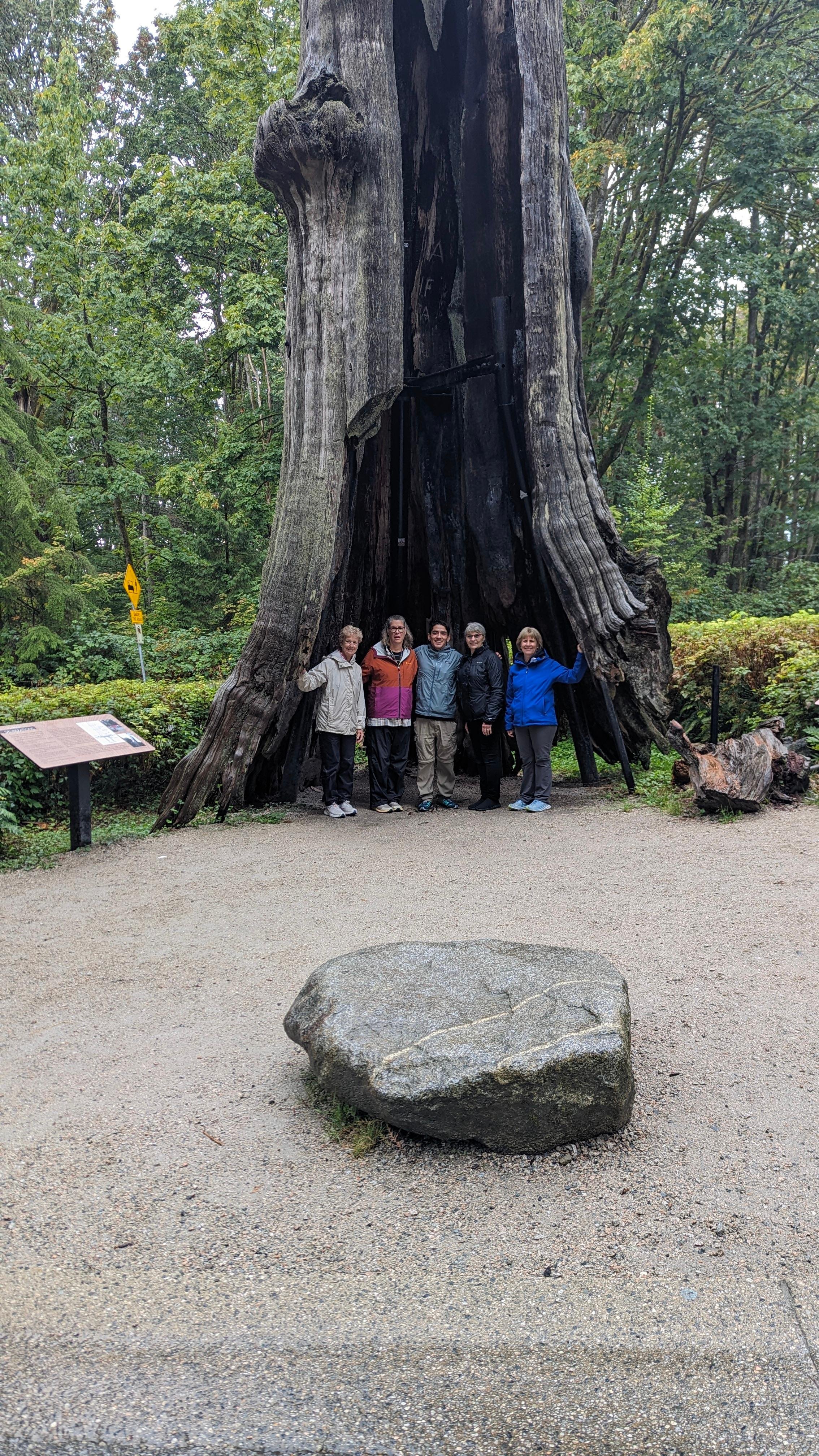 Vancouver North Shore & Capilano Canyon Lights Explorer