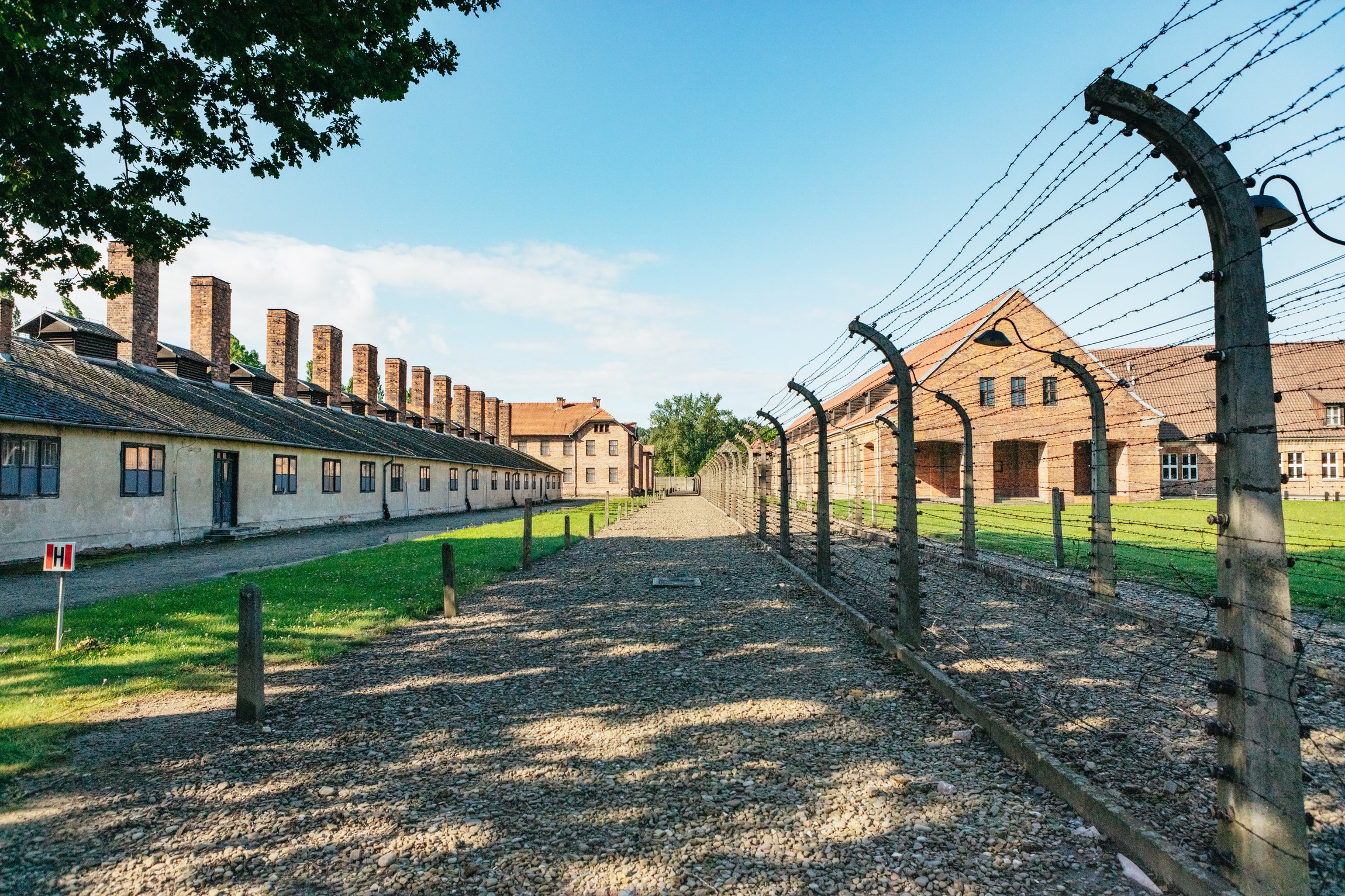 Official Auschwitz-Birkenau Guided Day Trip from Krakow