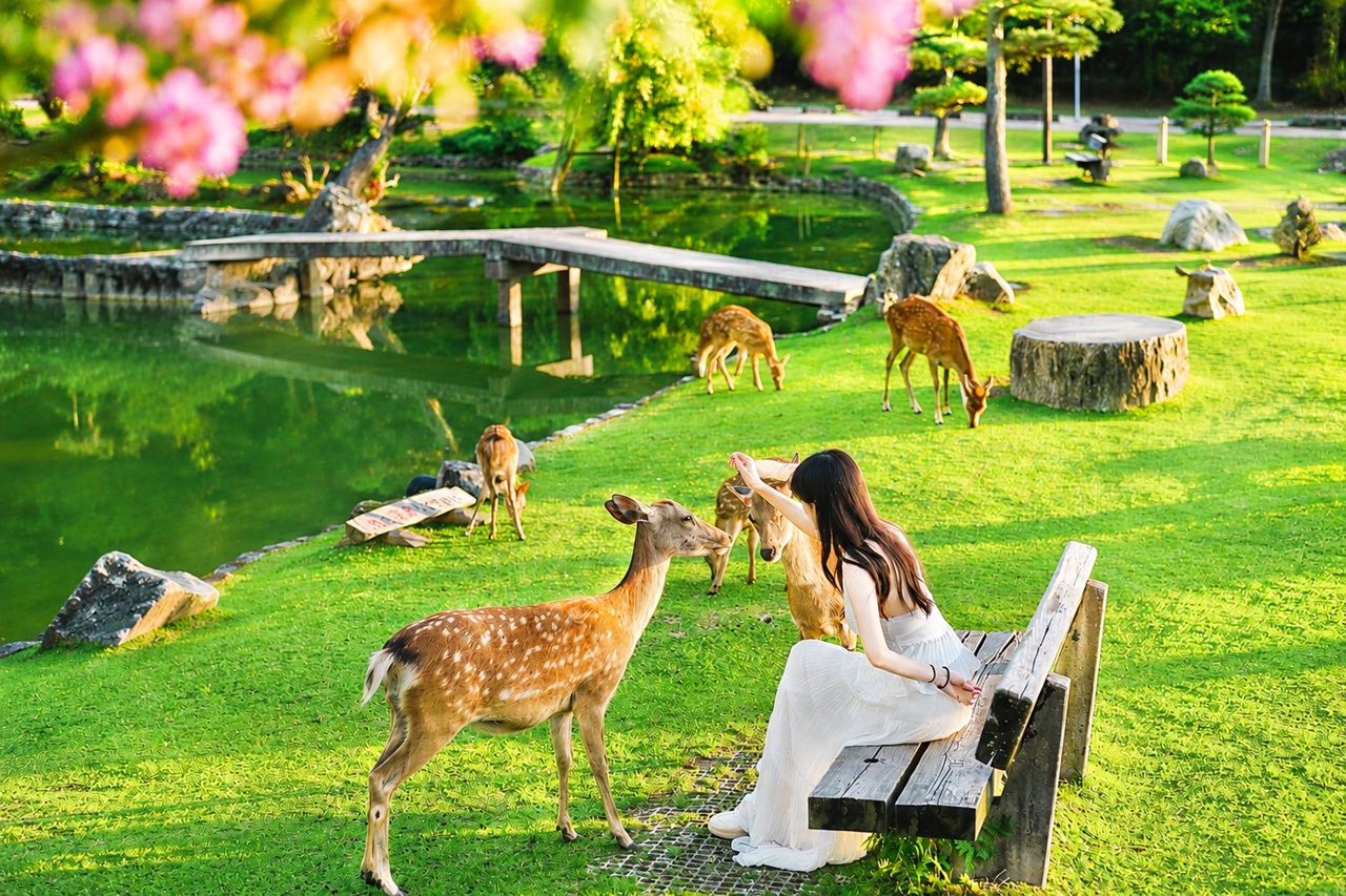 Kyoto & Nara Highlights Bus Tour from Osaka or Kyoto