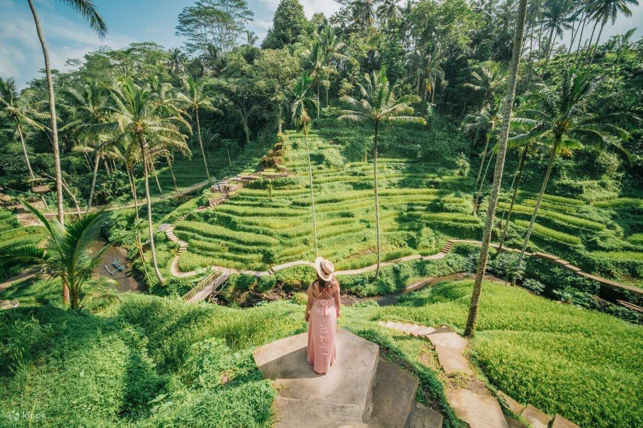 Private Ubud Half-Day Discovery Tour