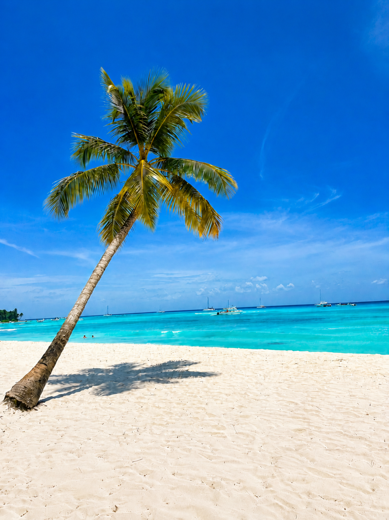 Saona Island VIP Catamaran Experience from Punta Cana