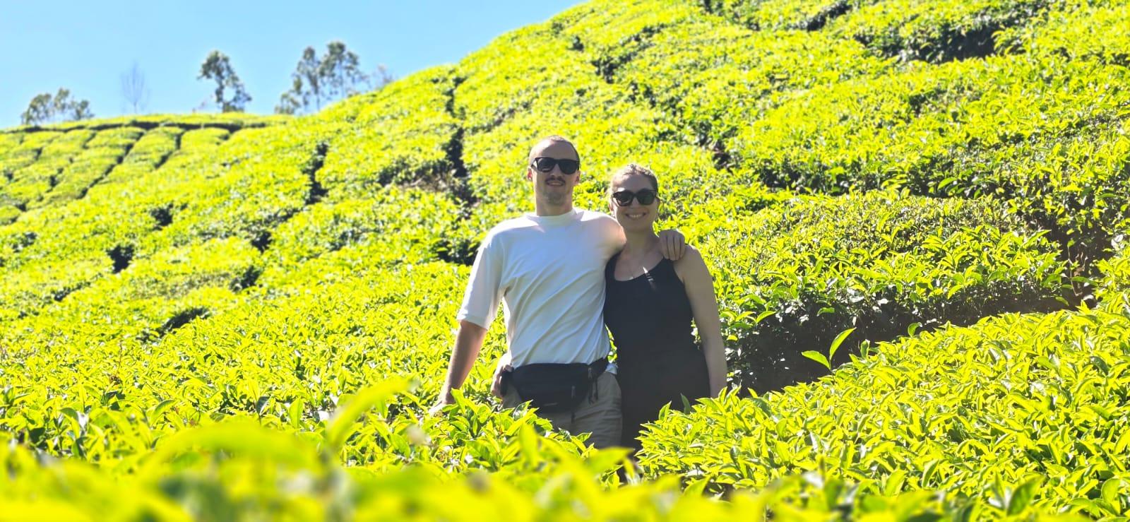 Munnar: Wild Elephant Jeep Safari in Anakulam