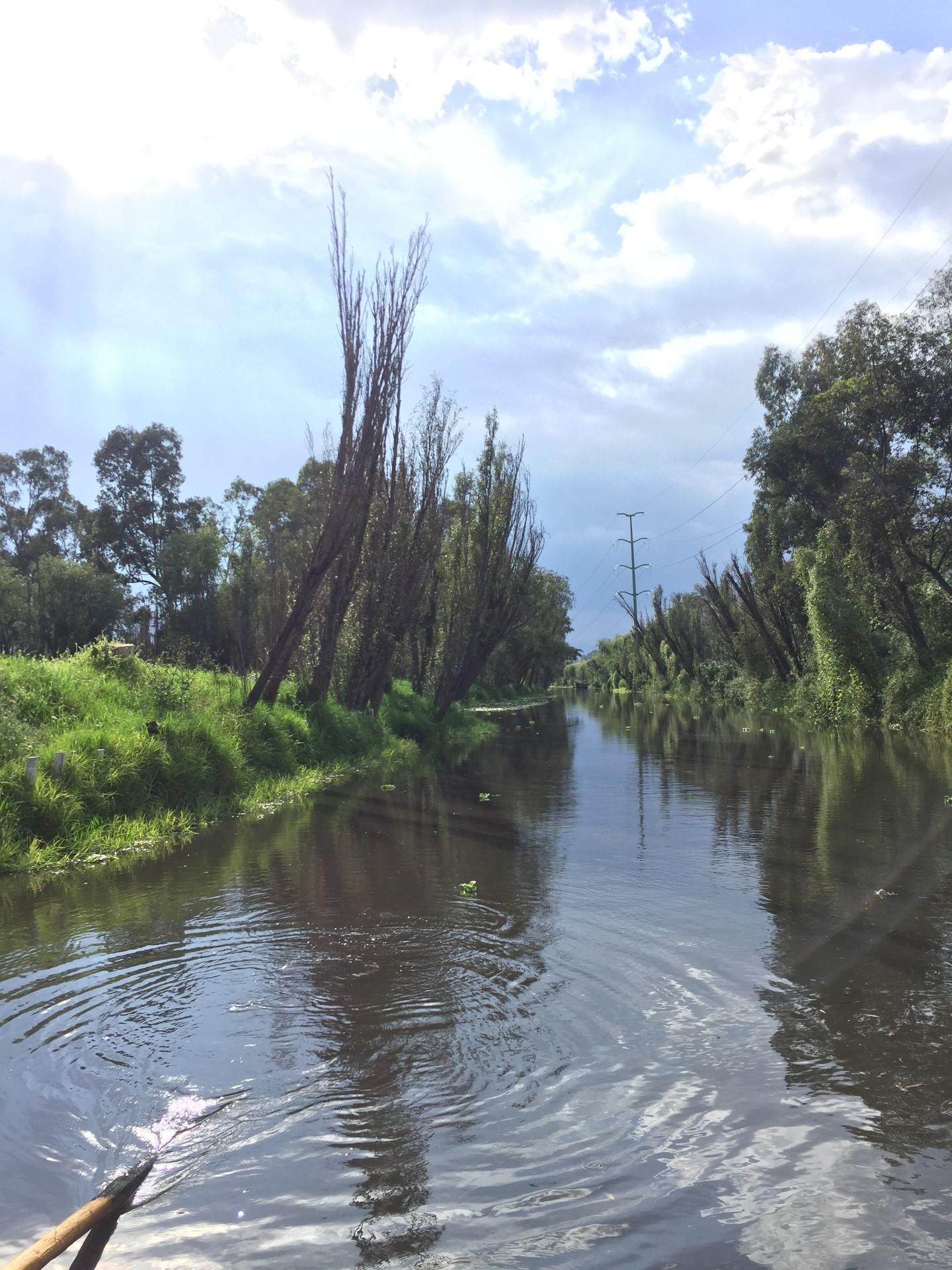 Xochimilco Ecological Boat Escape