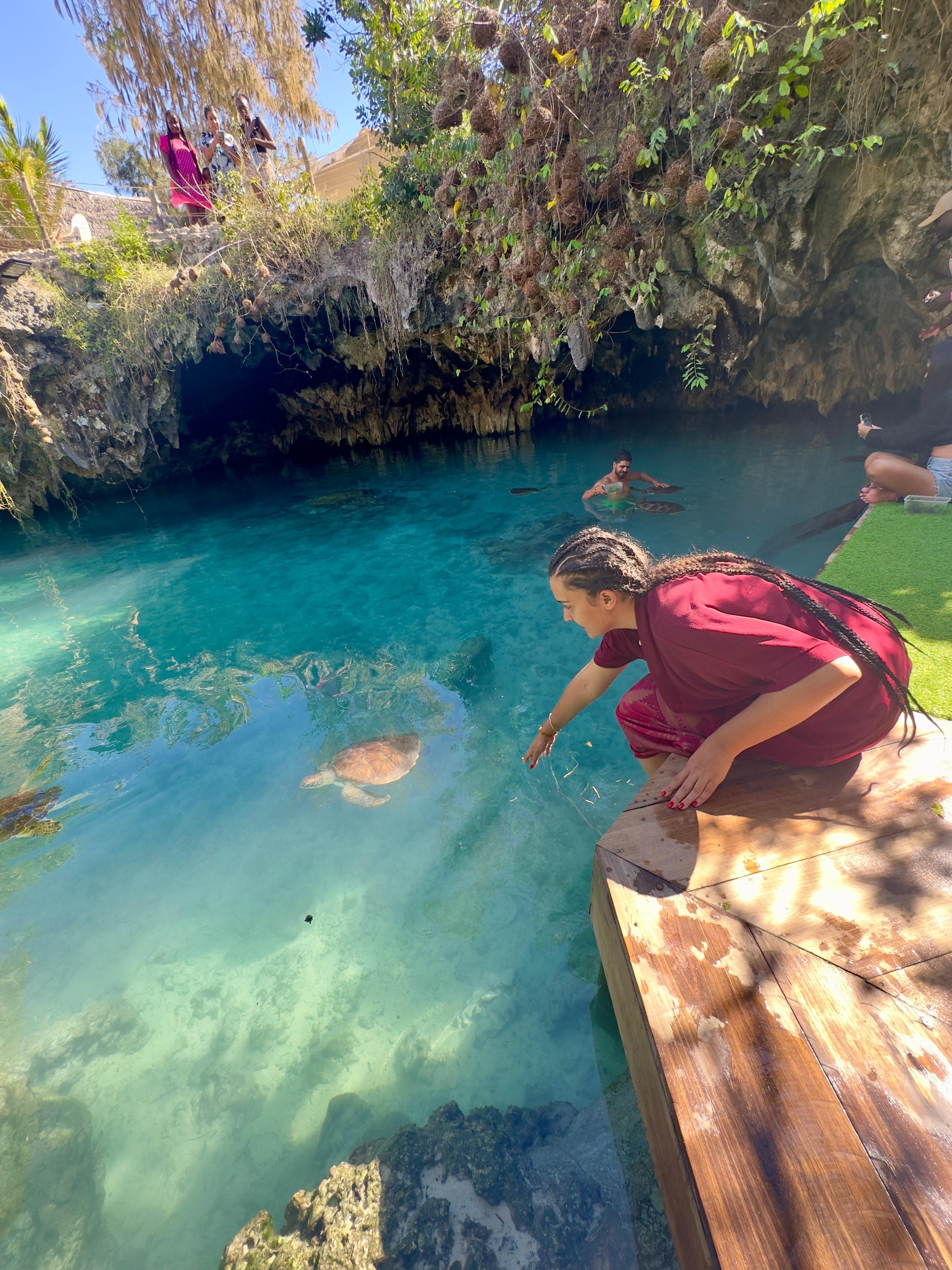 Zanzibar: Swim with Sea Turtles at Salaam Cave, Kizimkazi