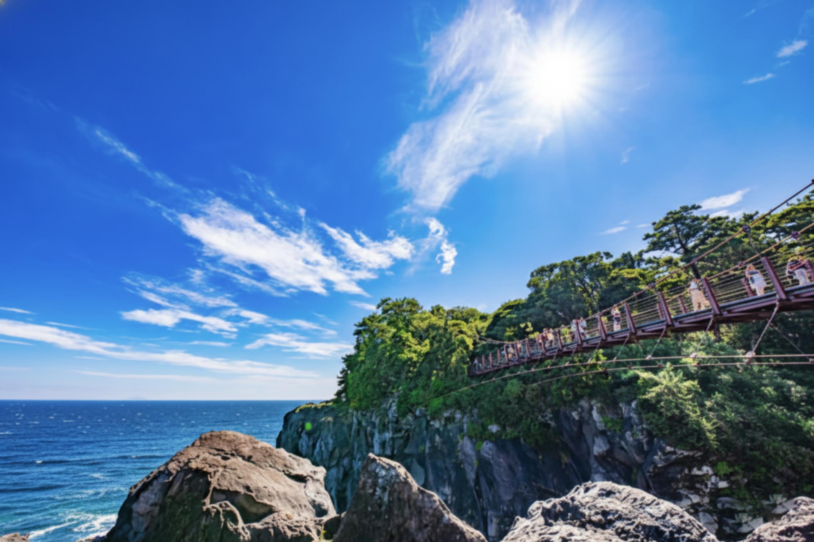 Izu coastal viewpoint on the tour route