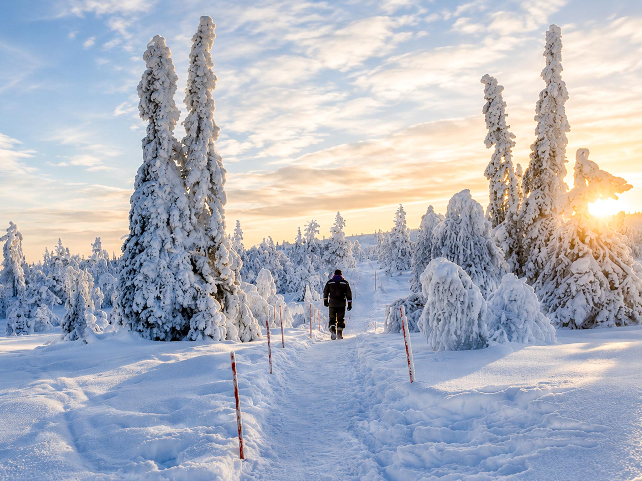 Riisitunturi National Park Winter Adventure