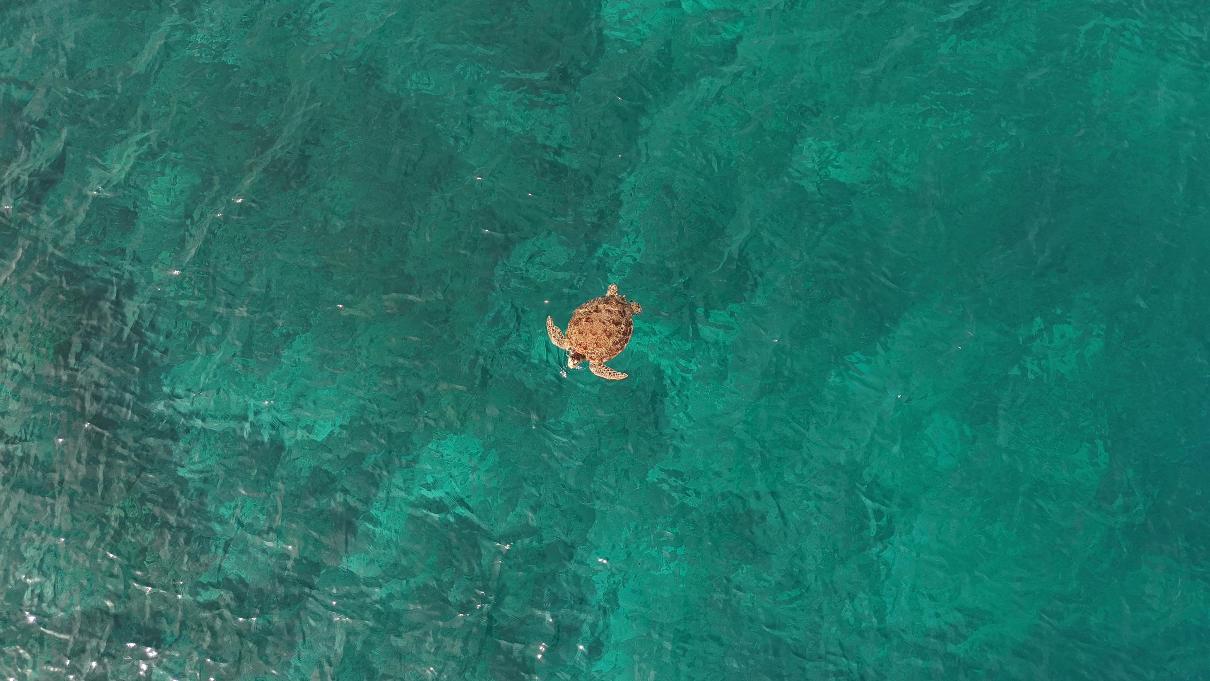 Sibaltan Private Snorkeling & Hidden Islands Boat Tour