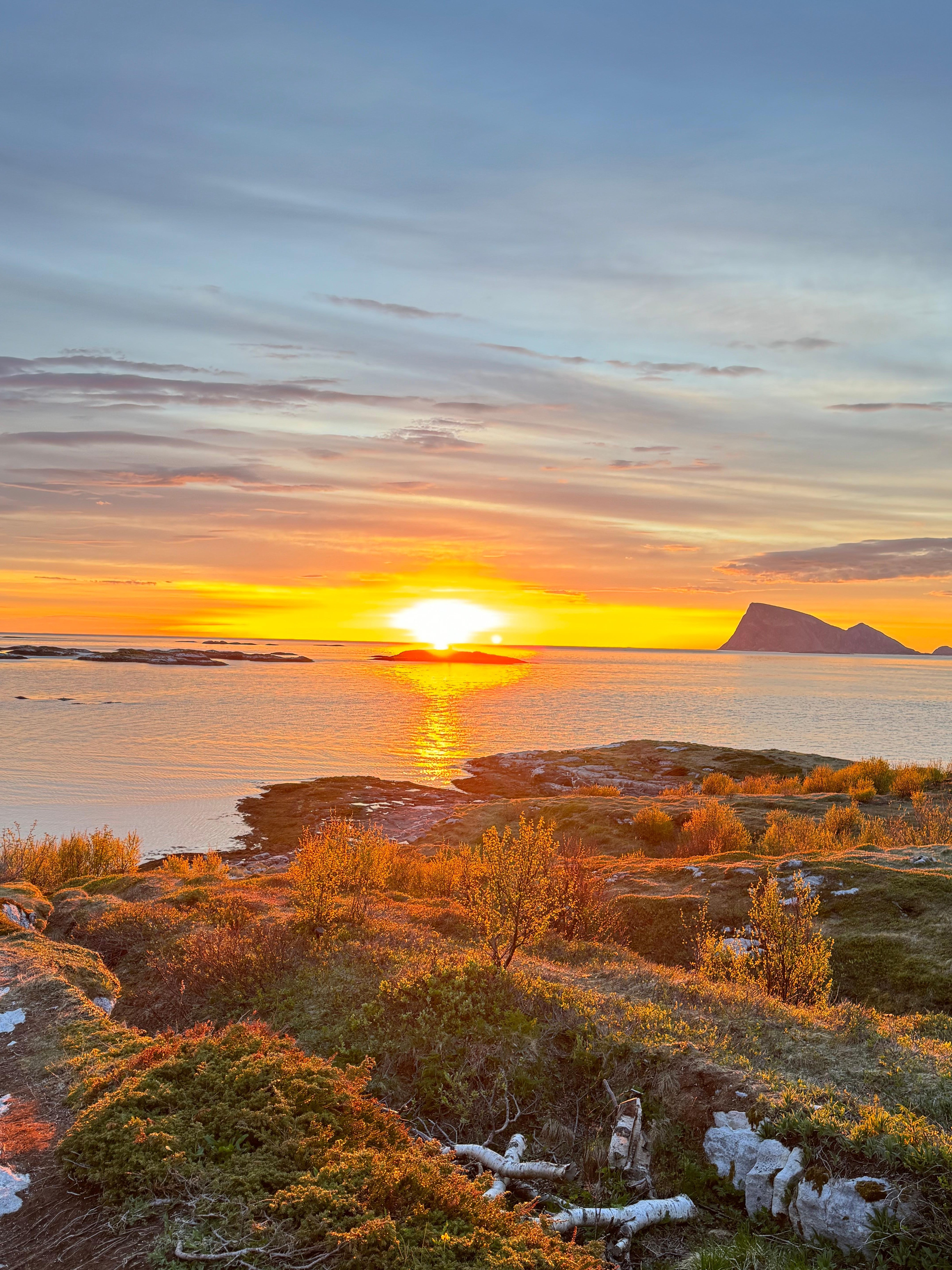 Sommarøy midnight sun tour — small-group fjord photo stops near Tromsø at midnight — image 15