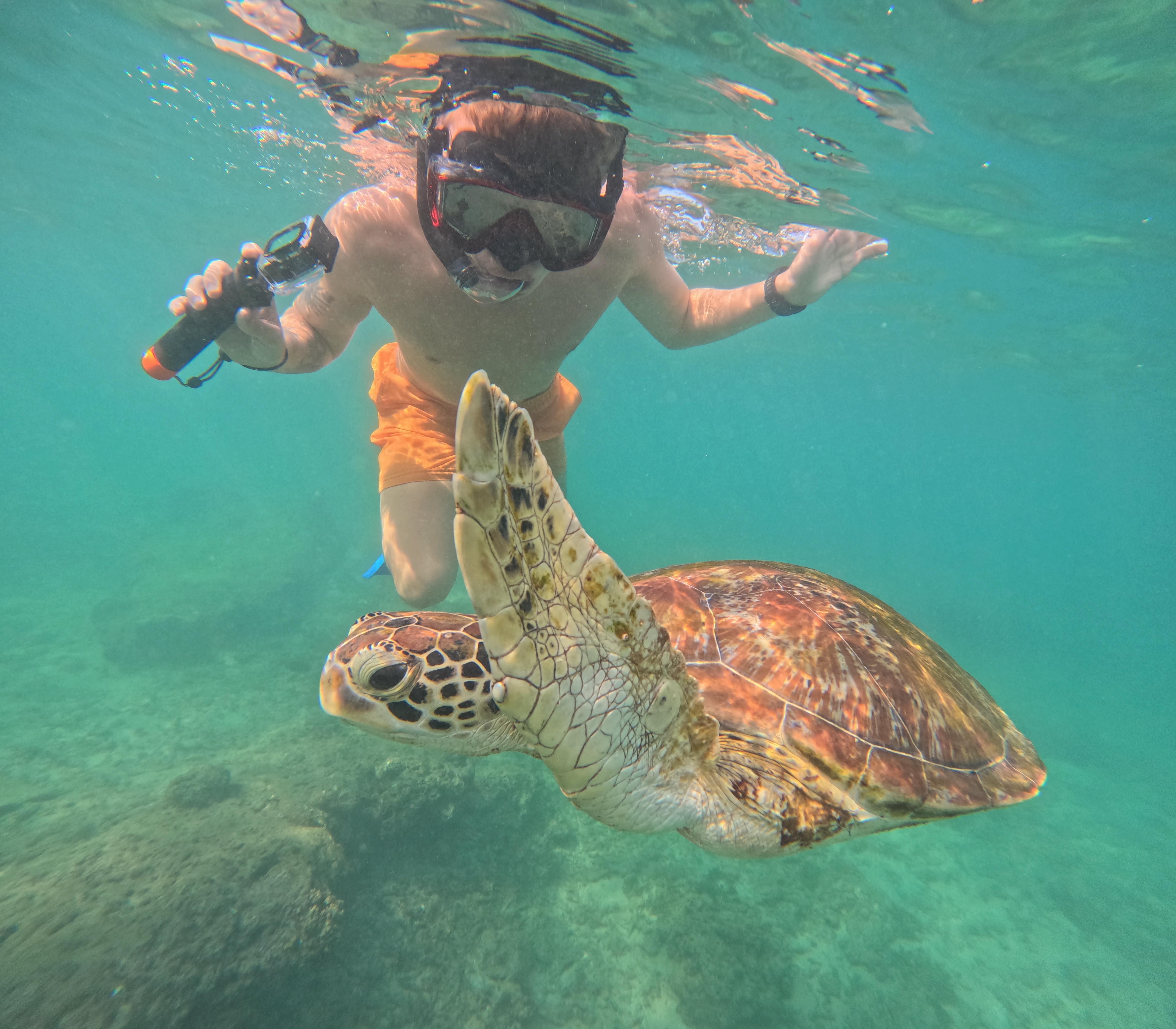 Mirissa & Polhena Sea Turtle Snorkeling Tour with Free GoPro