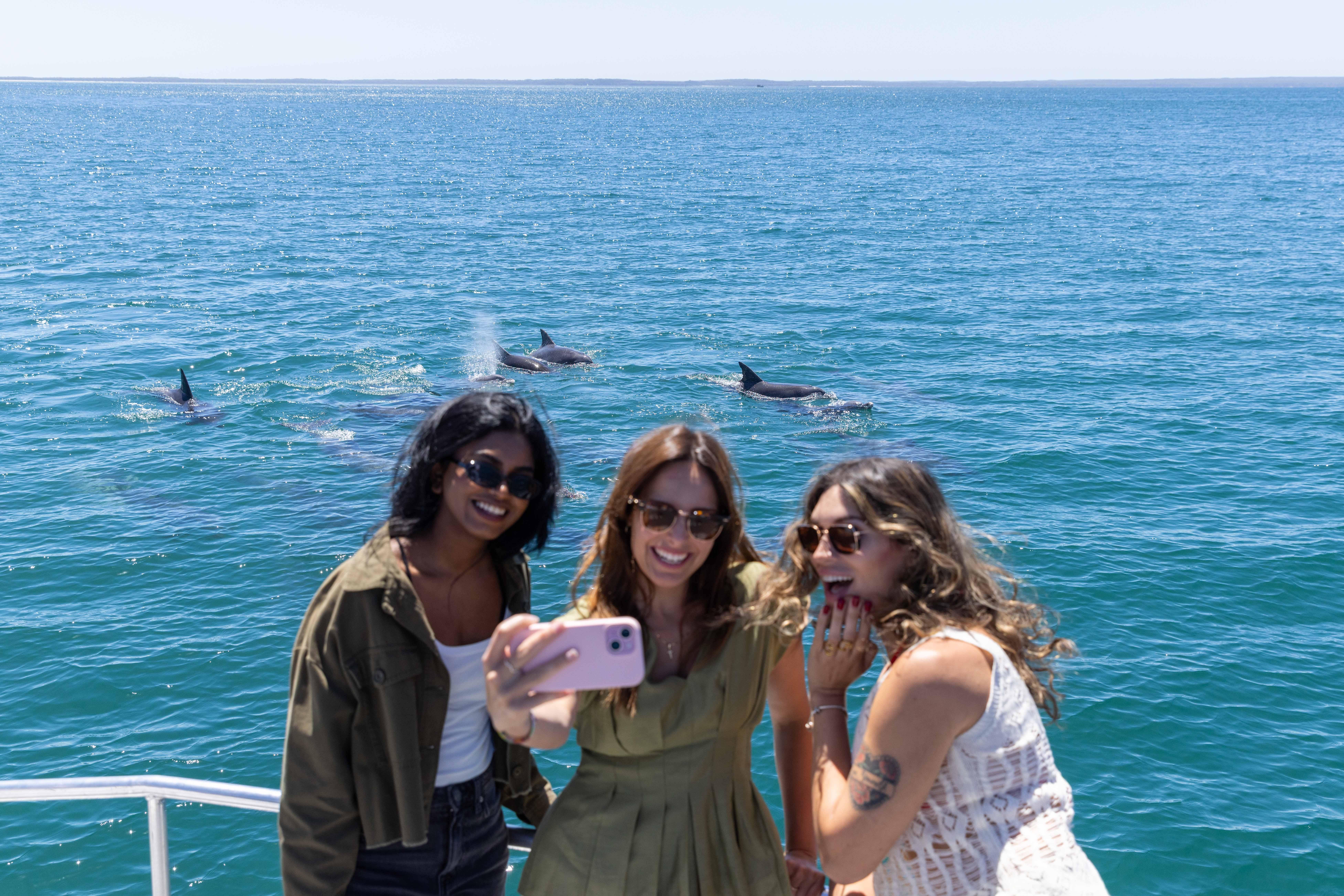 South Coast Discovery: Jervis Bay Dolphins, Berry & Kiama Blowhole