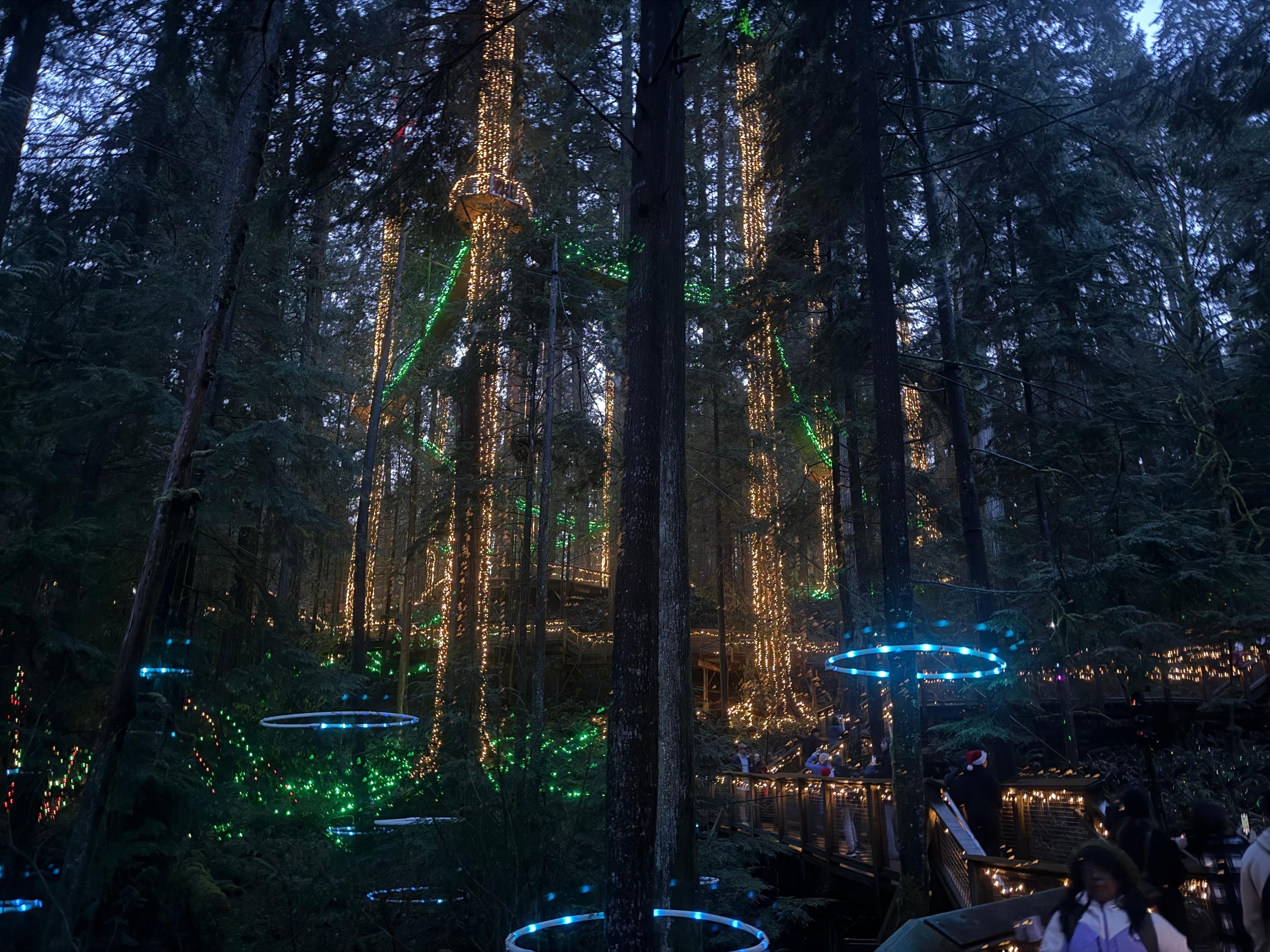 Capilano Suspension Bridge & Stanley Park Small Group Tour