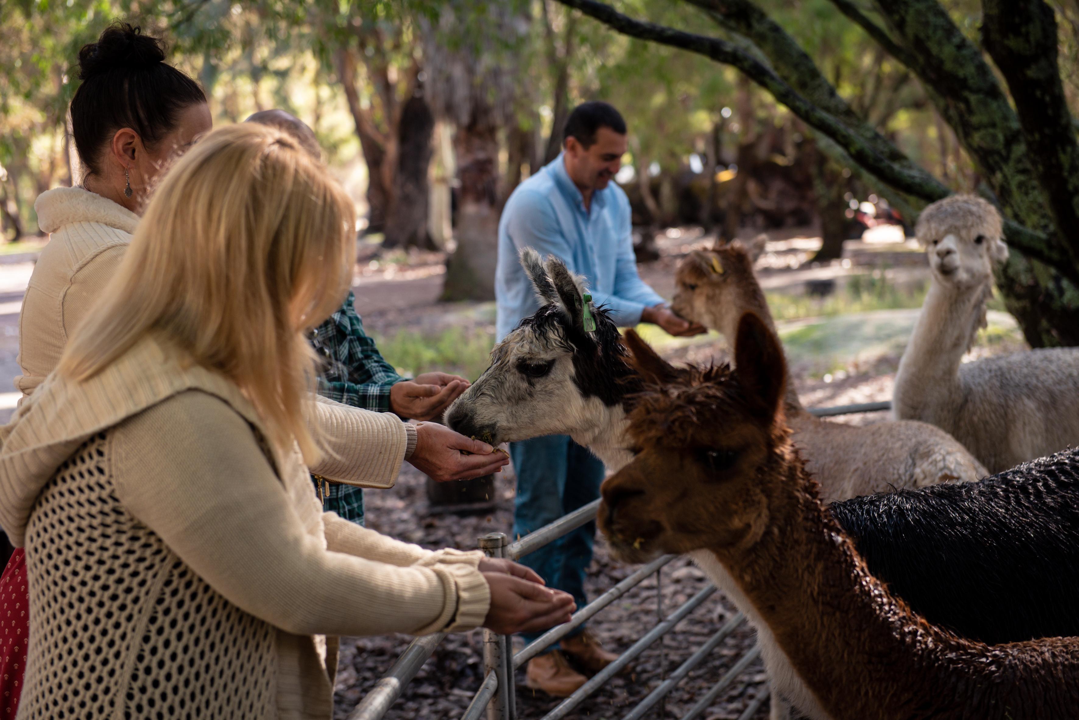 Margaret River wine tour — image 11