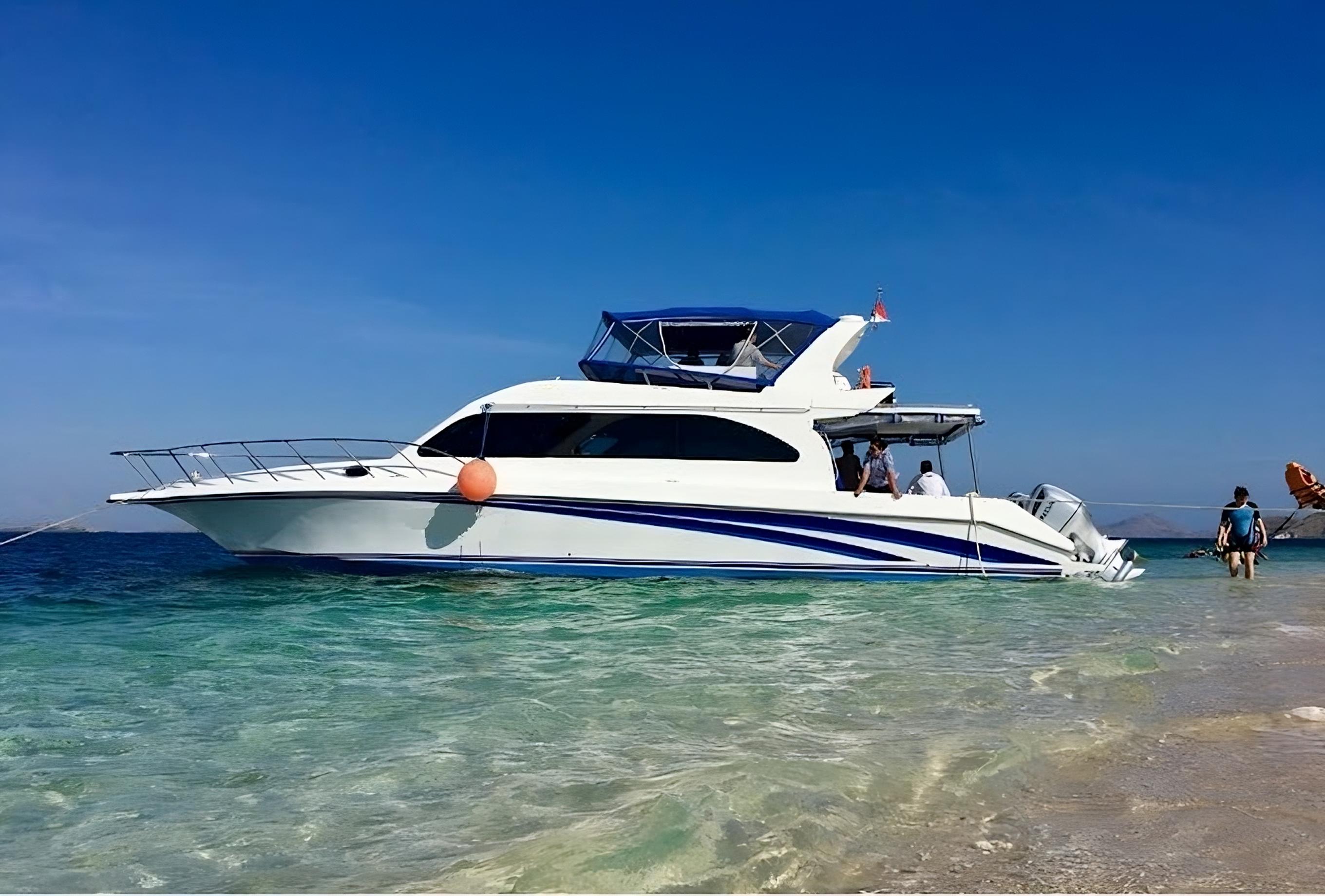 Komodo National Park: Dragons, Beaches & Manta Rays Day Tour
