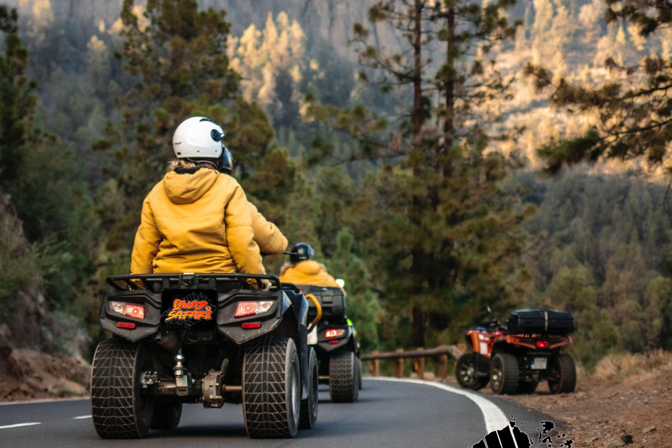Teide National Park Quad Bike Excursion