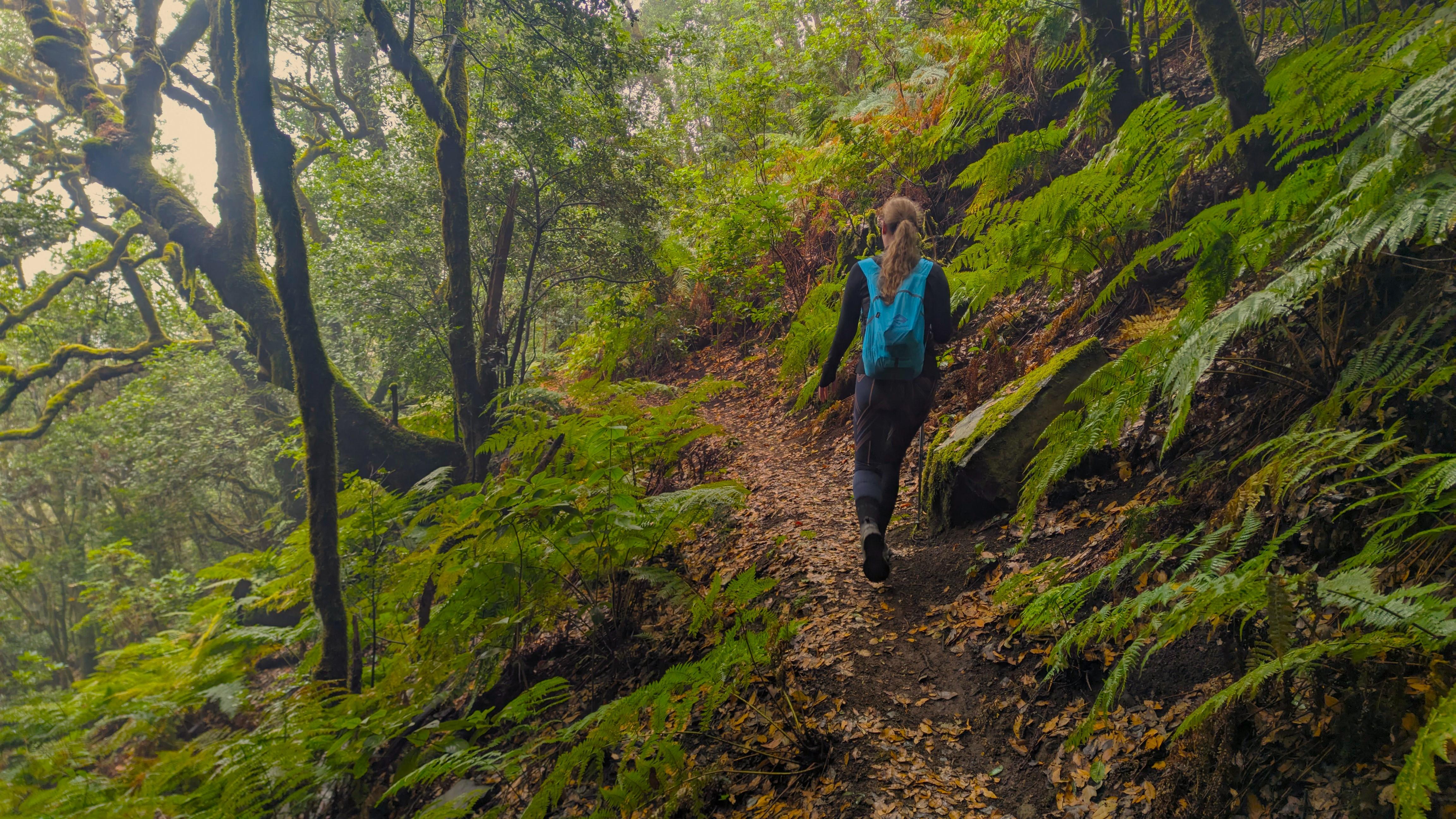 Tenerife: Enchanted Forest Hike Above Masca with Hotel Pick-Up