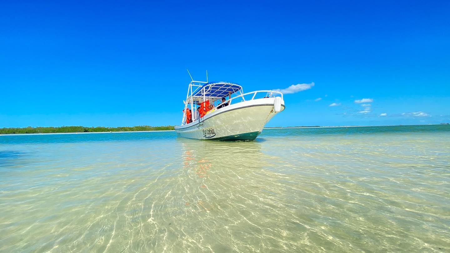 VIP Speedboat Transfer to Holbox Island from Chiquila