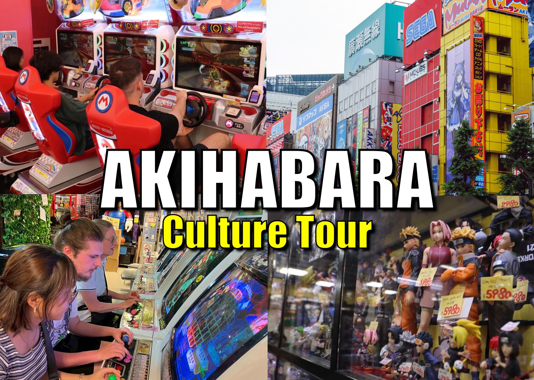 Tokyo: Akihabara Anime, Manga, Games Walk (Arcades,Gachapon) — Tokyo anime tour in Akihabara