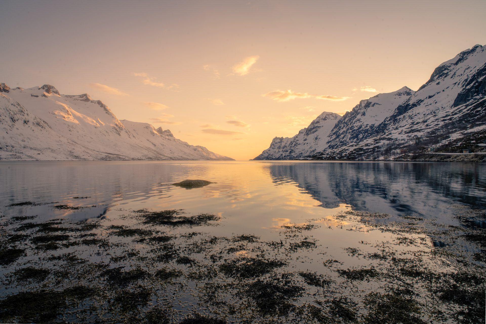 Tromsø Fjords and Wildlife Discovery Tour