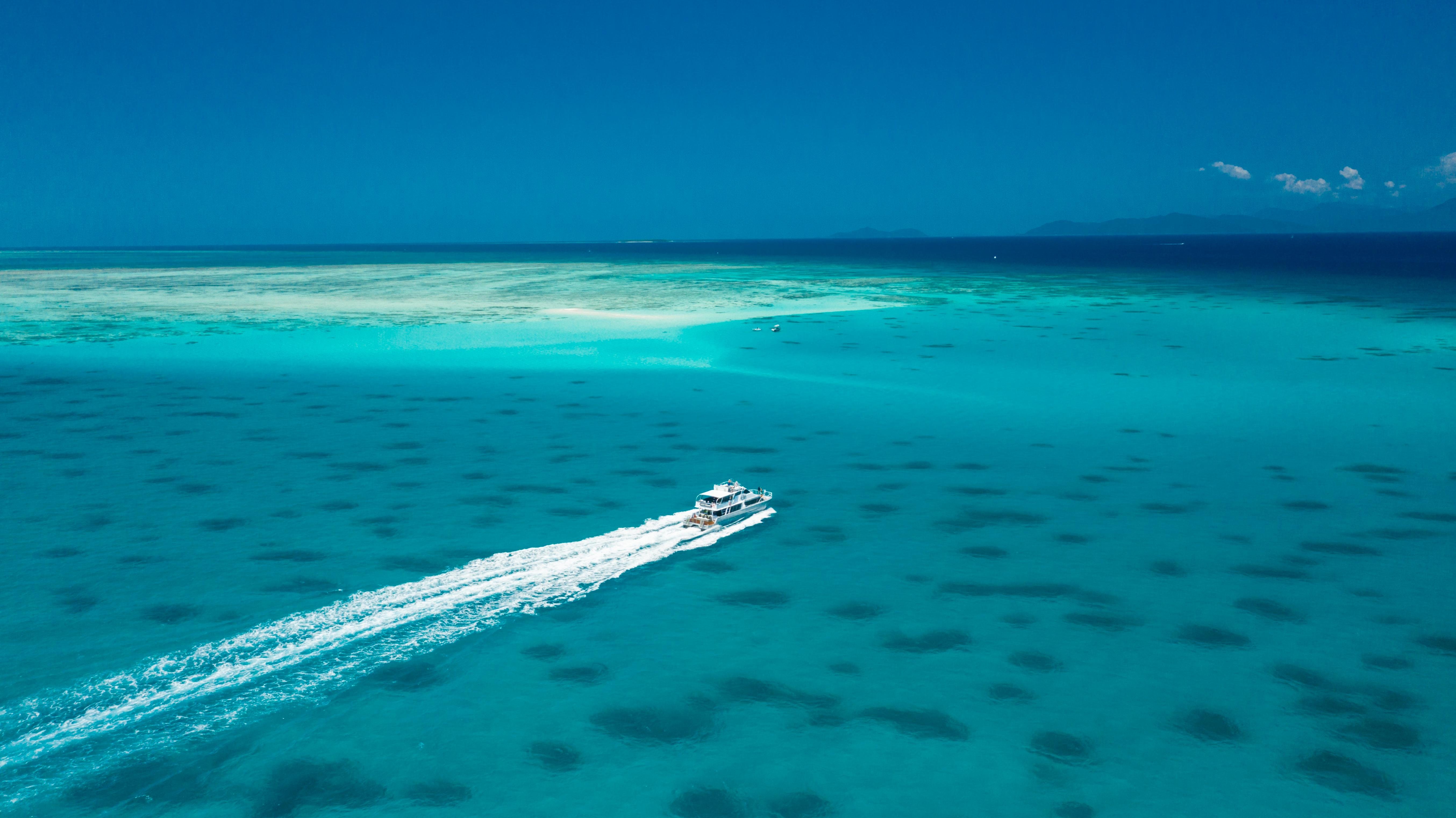 Cairns barrier reef tour to Upolu Reef — photo 8