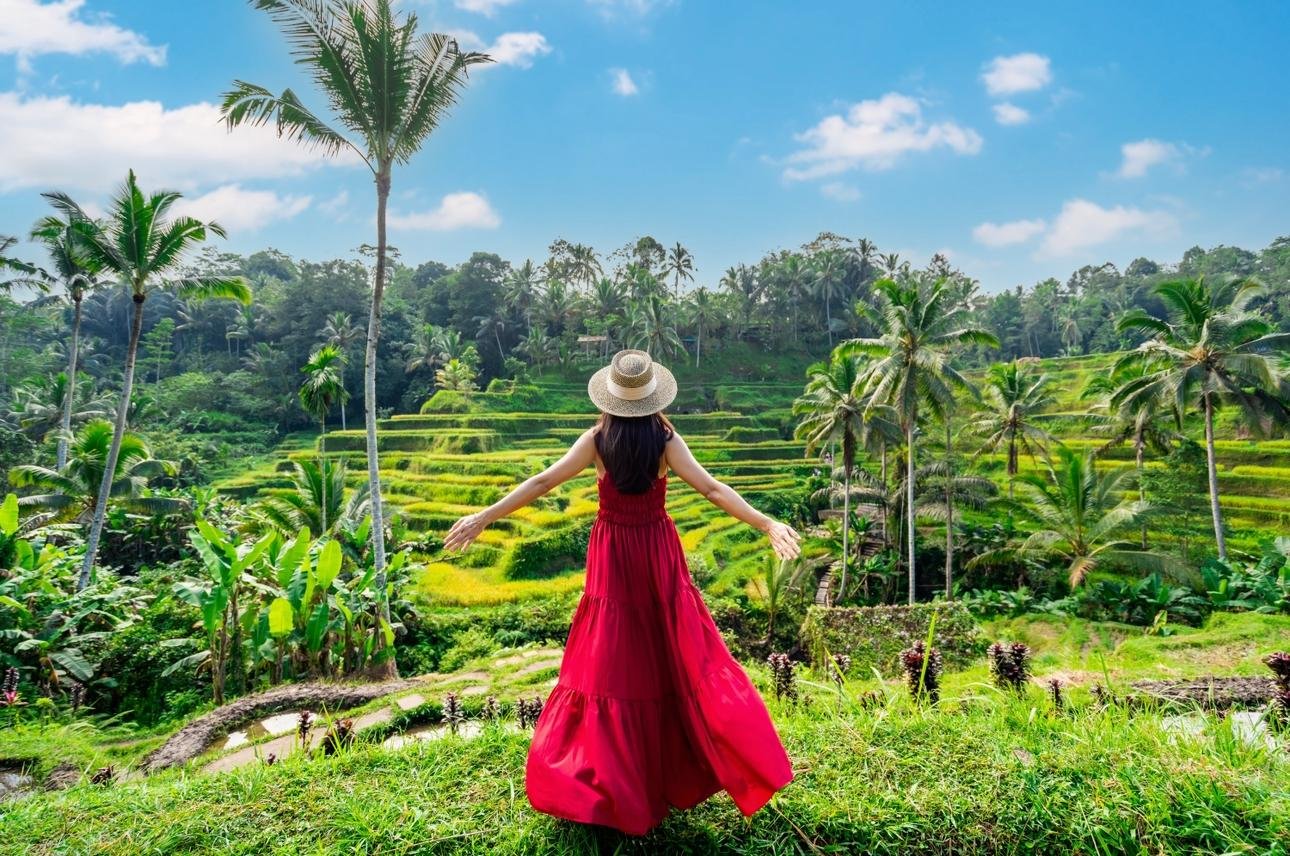 Bali Highlights: Ubud Waterfalls, Monkey Forest & Rice Terraces