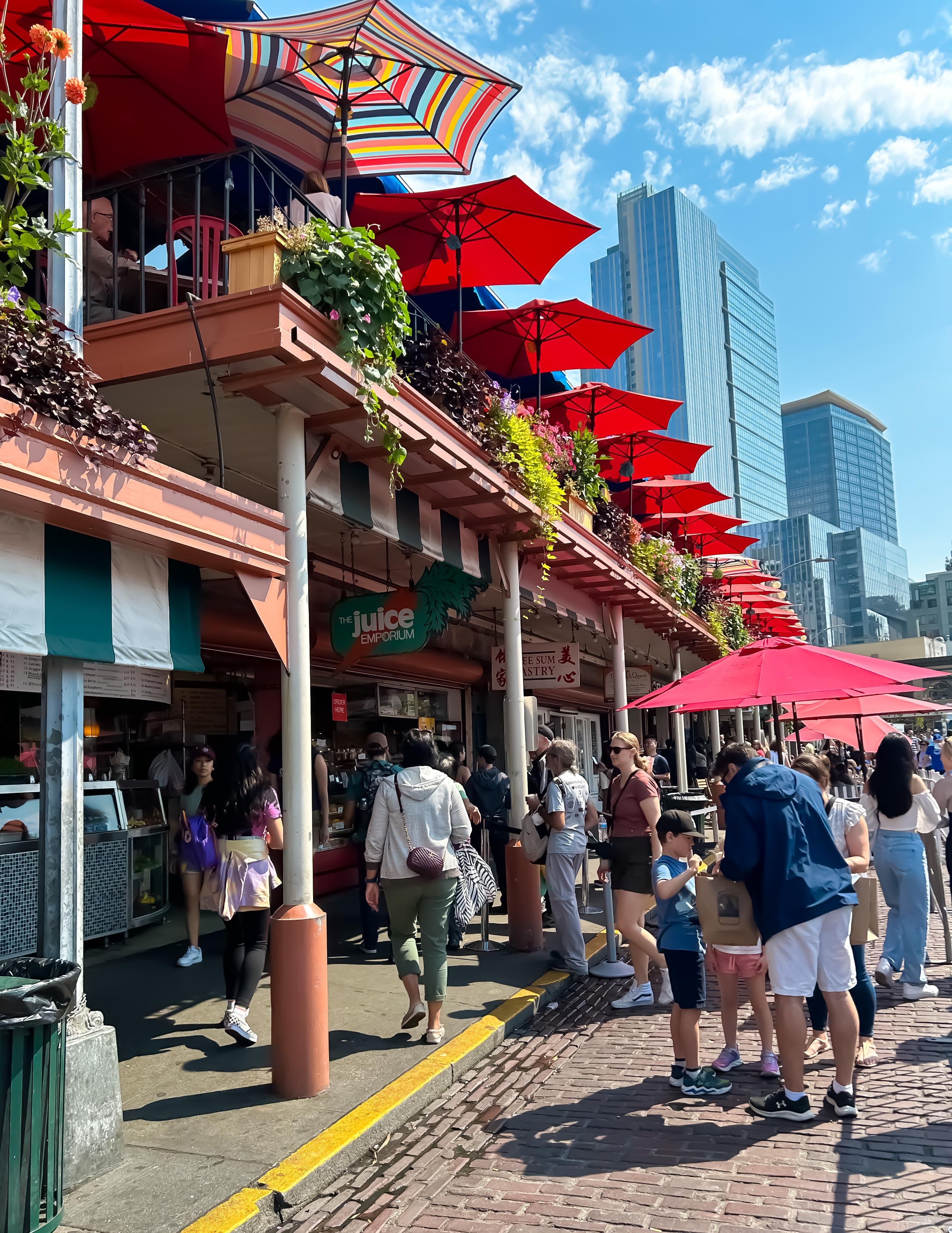 Exclusive Seattle Private SUV City Tour