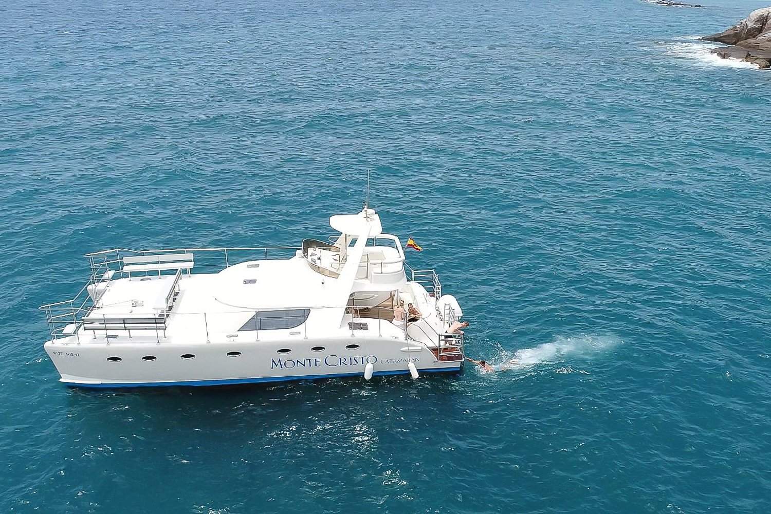 Tenerife Whale & Dolphin Catamaran Cruise with Buffet