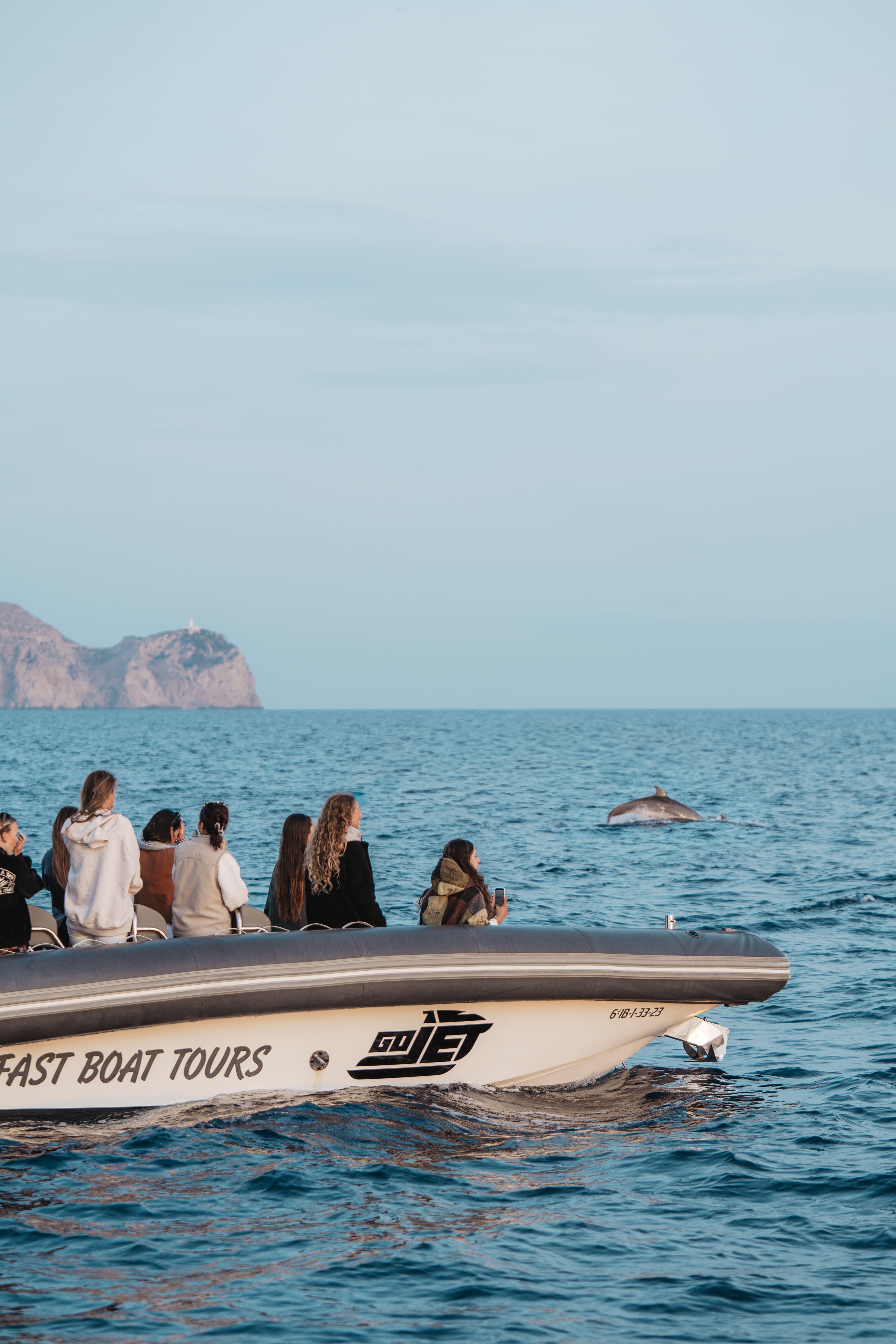 Premium Dolphin Watching & Cave Discovery Boat Tour