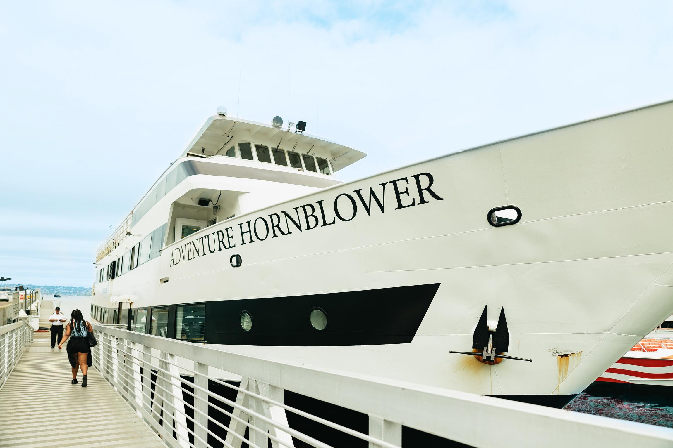 San Diego: City Cruises Whale and Dolphin Watching Cruise
