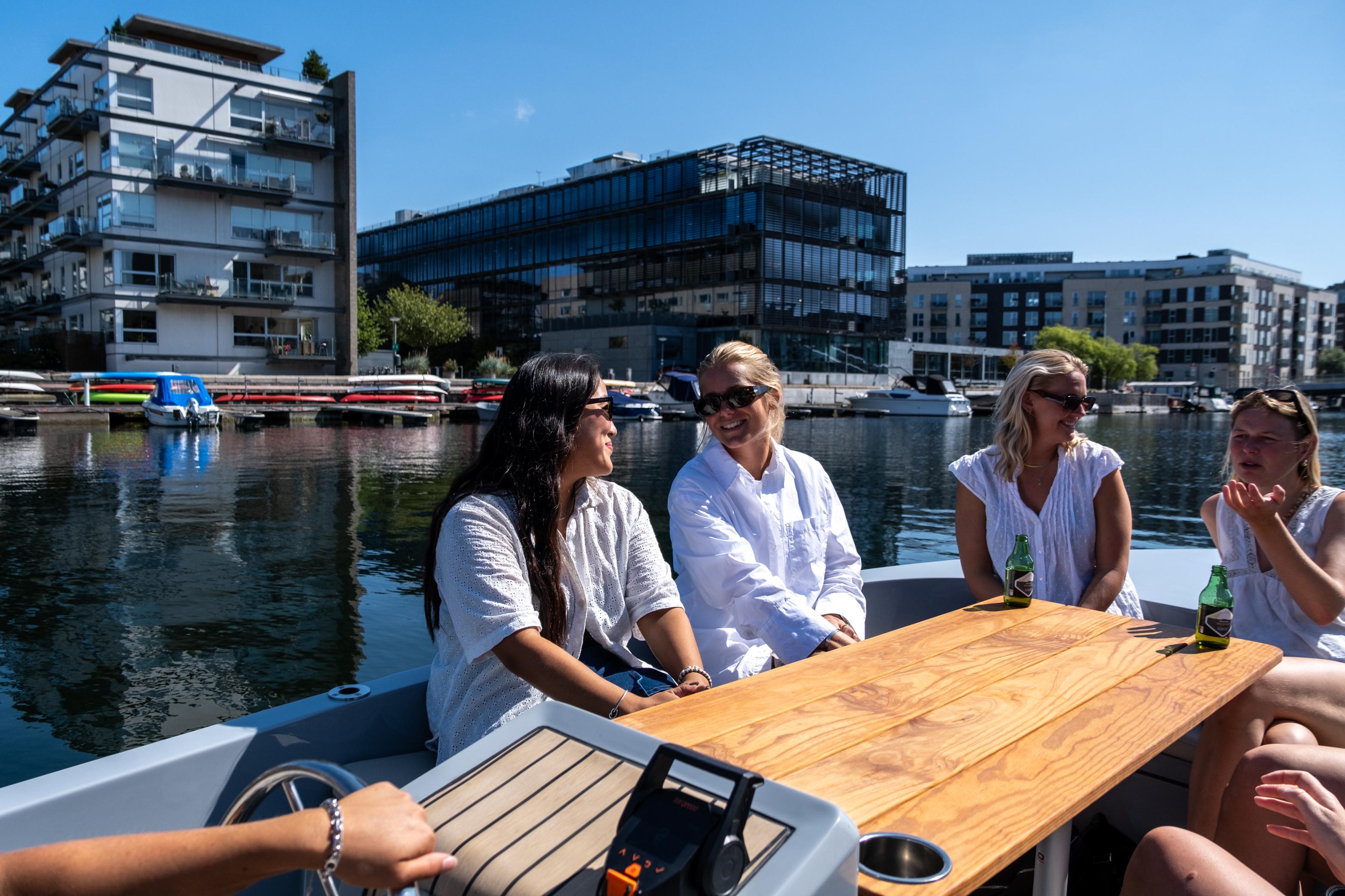 Private Electric Boat Tour with Captain