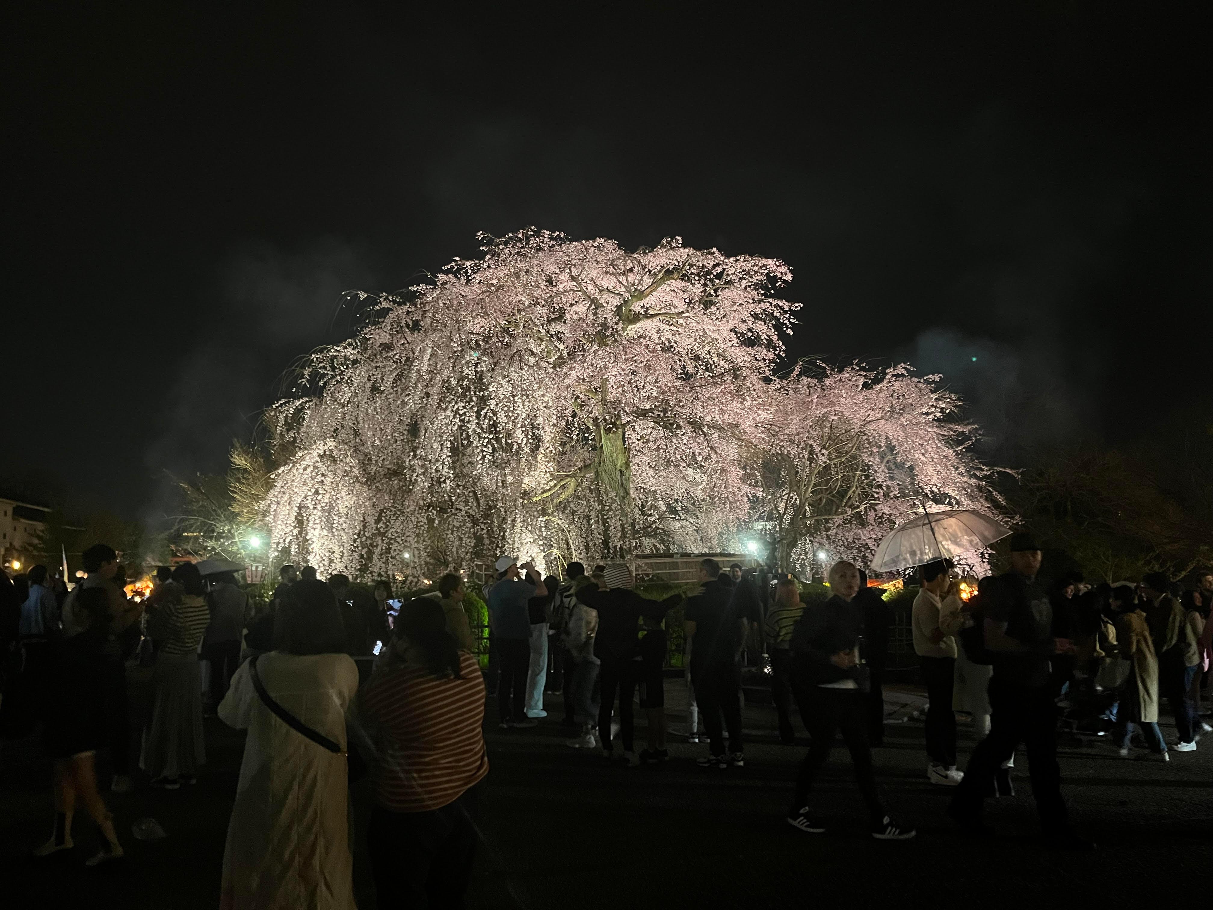 Kyoto: Gion and Geisha District Walking Tour
