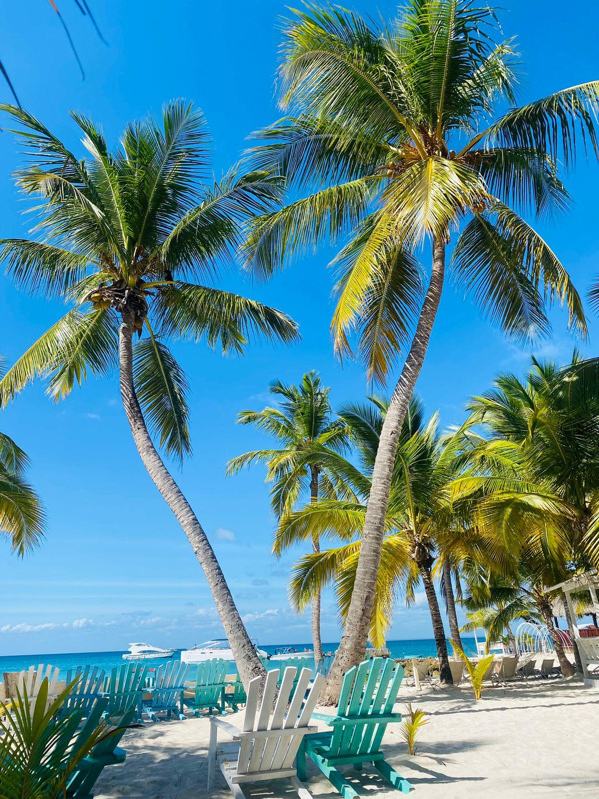 Saona Island Escape with Catamaran & Beach Lunch