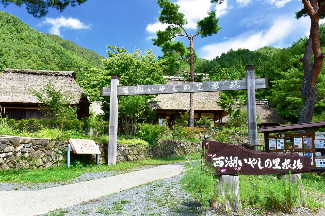 Mt. Fuji Heritage & Culture Day Trip