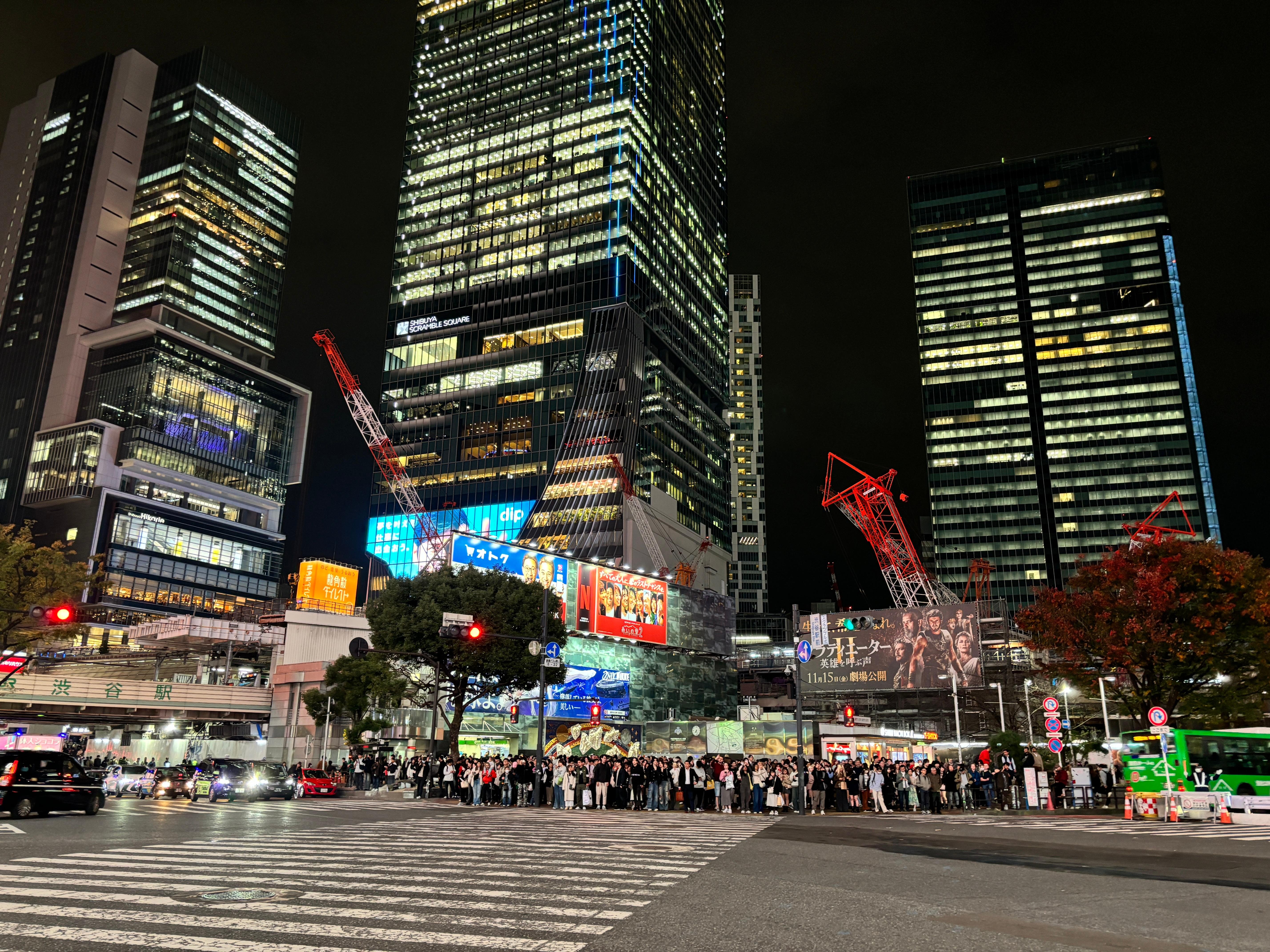 Shibuya Highlights & Hidden Gems Walking Tour