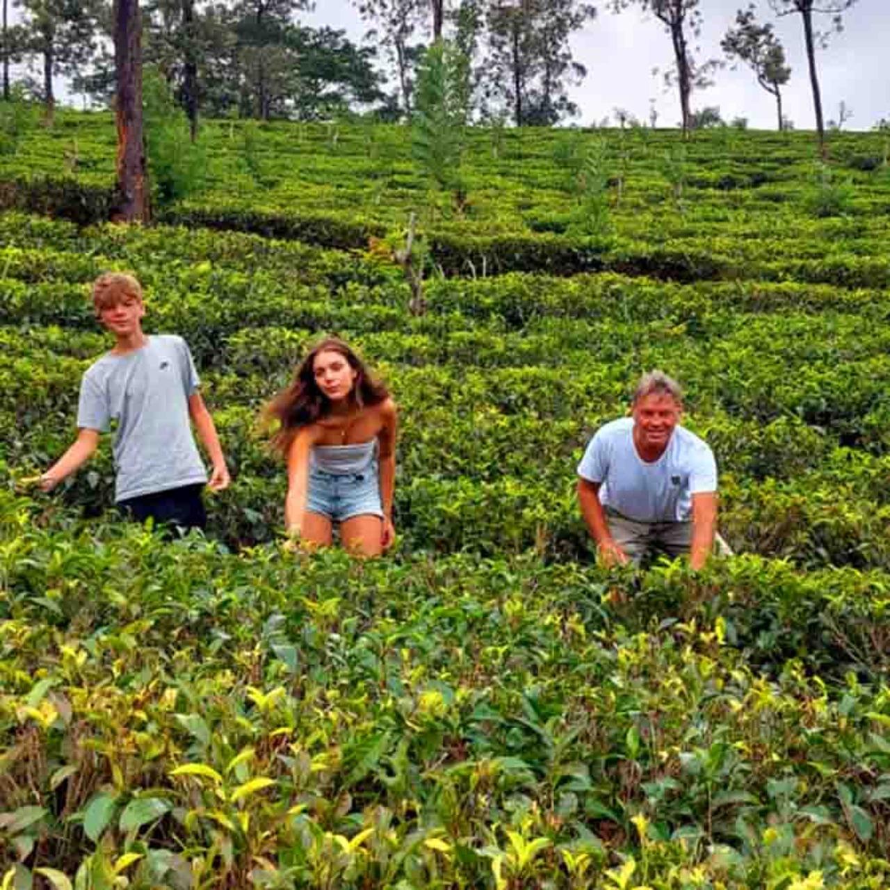 Kandy to Ella Private Scenic Transfer with Train Experience
