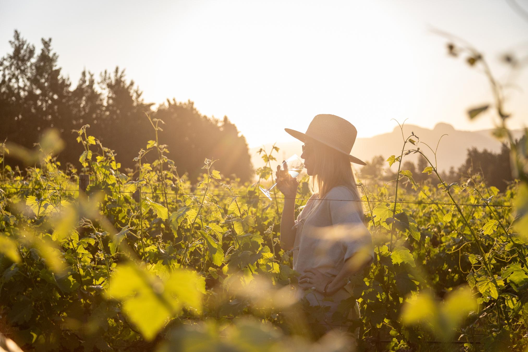 Cape Winelands Full-Day Tour: Stellenbosch, Franschhoek & Paarl