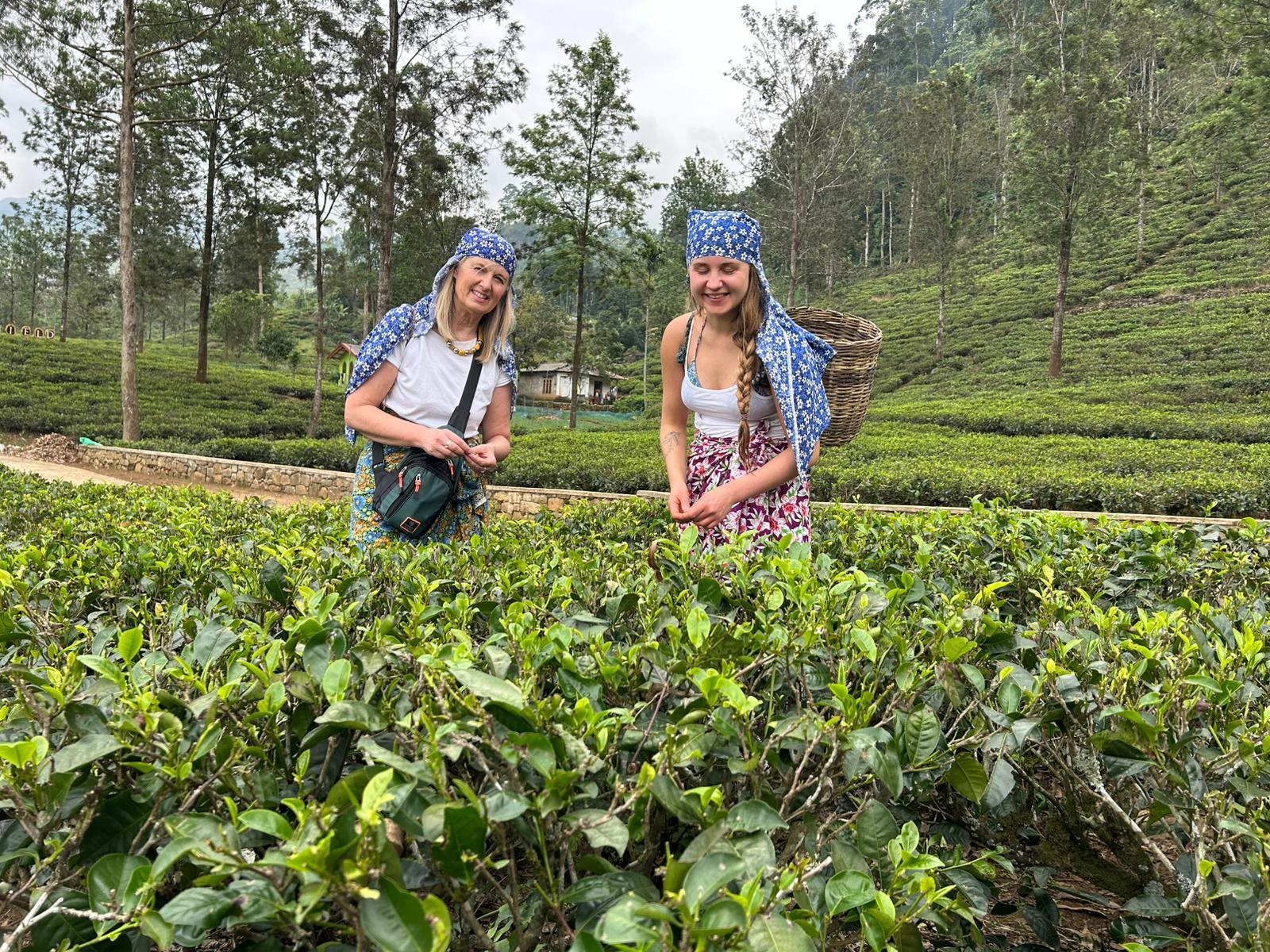 Nuwara Eliya Private Tuk-Tuk Tea & Waterfall Tour