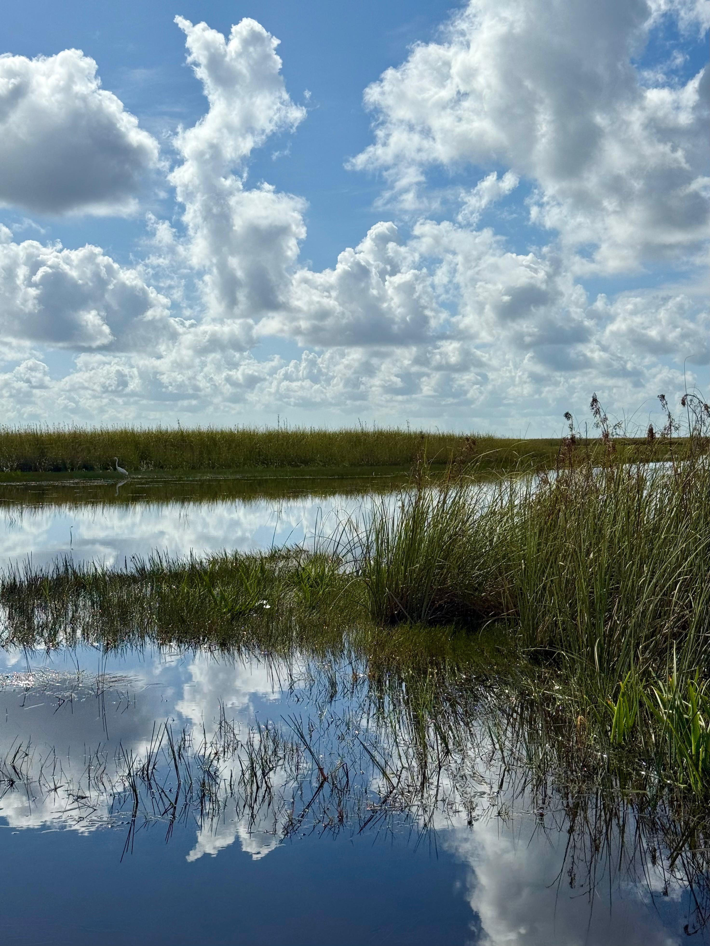 Small-Group Everglades Eco-Adventure & Private Islands Tour