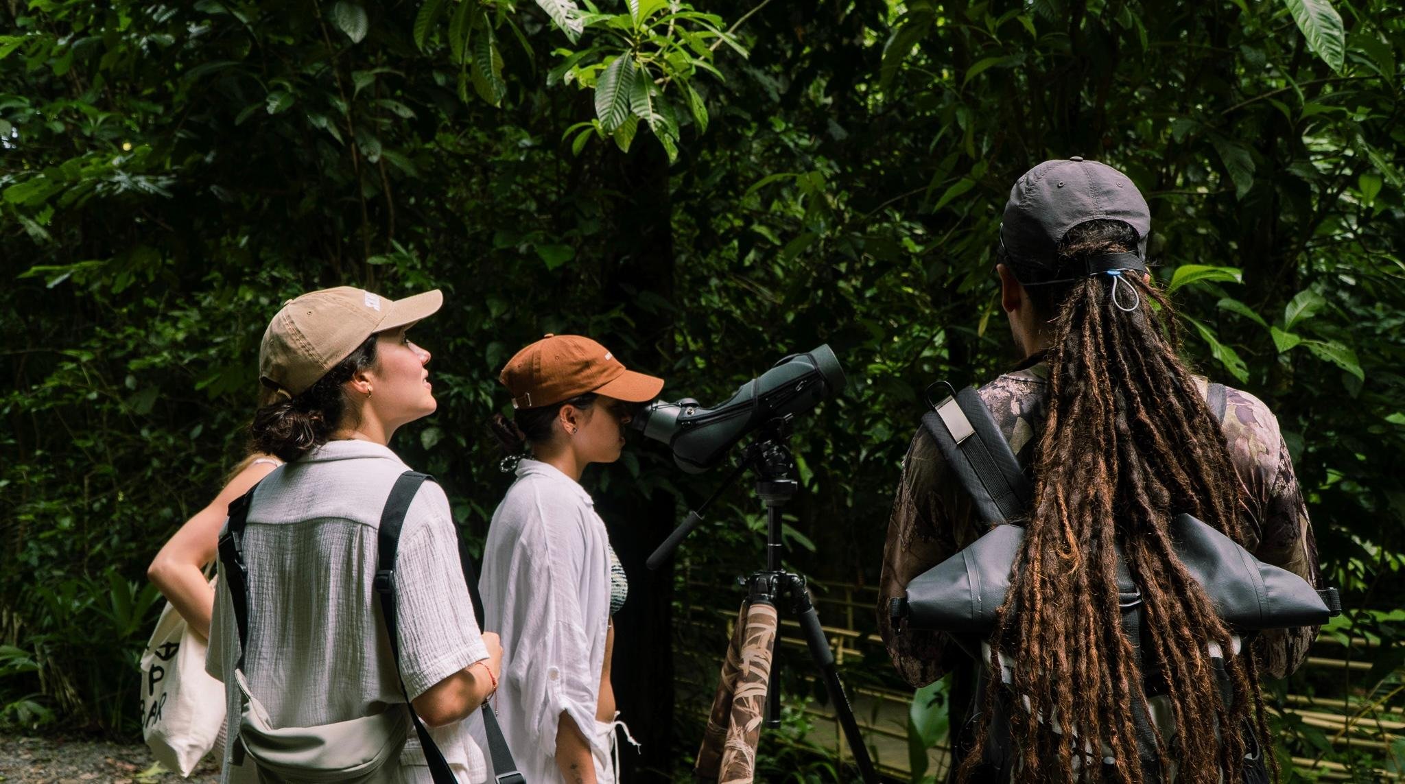 Manuel Antonio National Park: Naturalist-Led Wildlife Walking Tour