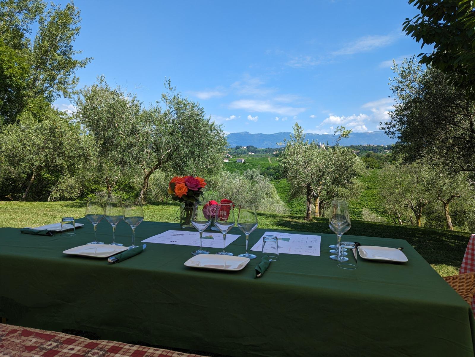 Prosecco Hills Private Full-Day Tour – 2 Wineries & Lunch Included