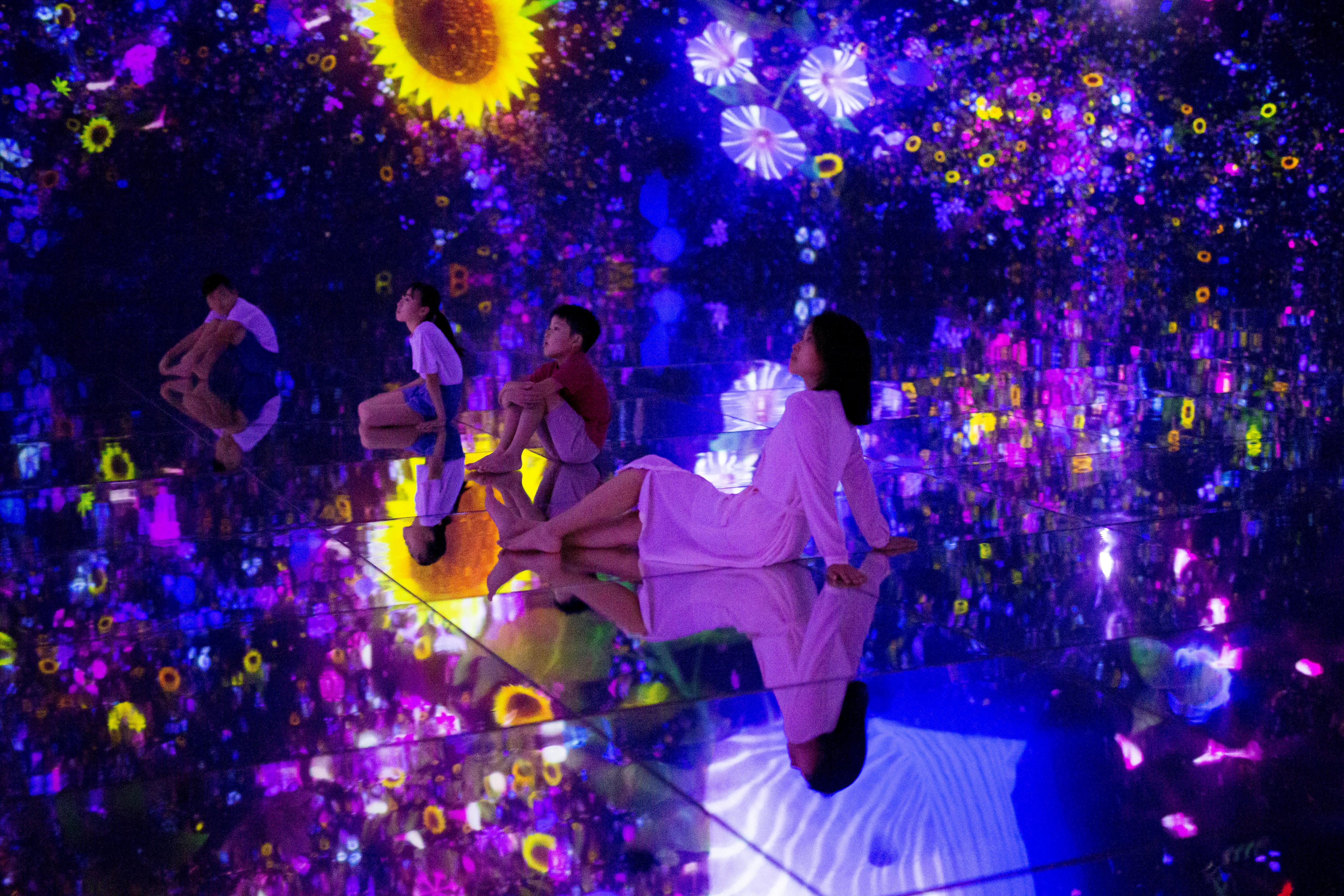 teamLab Planets TOKYO Digital Art Museum Entry