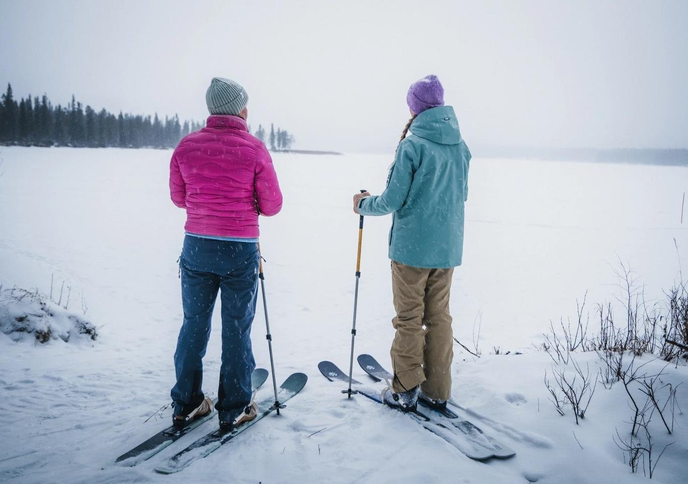 Arctic Forest Skiing Adventure
